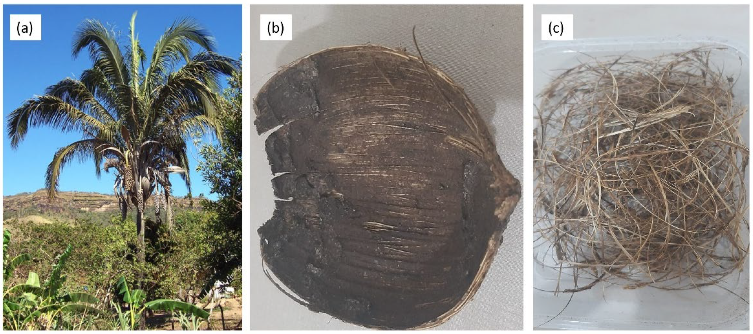 Polymers 15 03863 g001