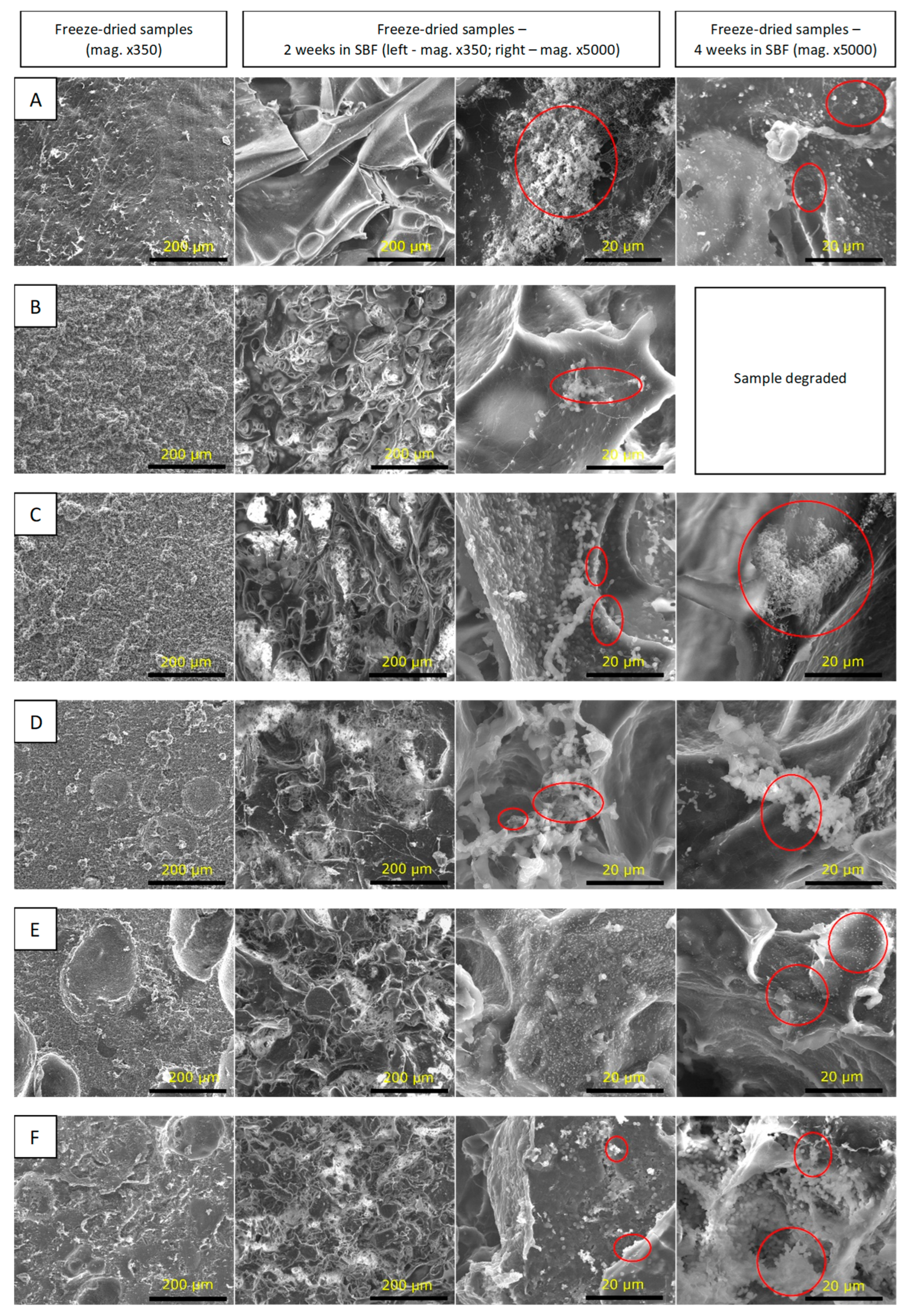 Polymers 15 03867 g006