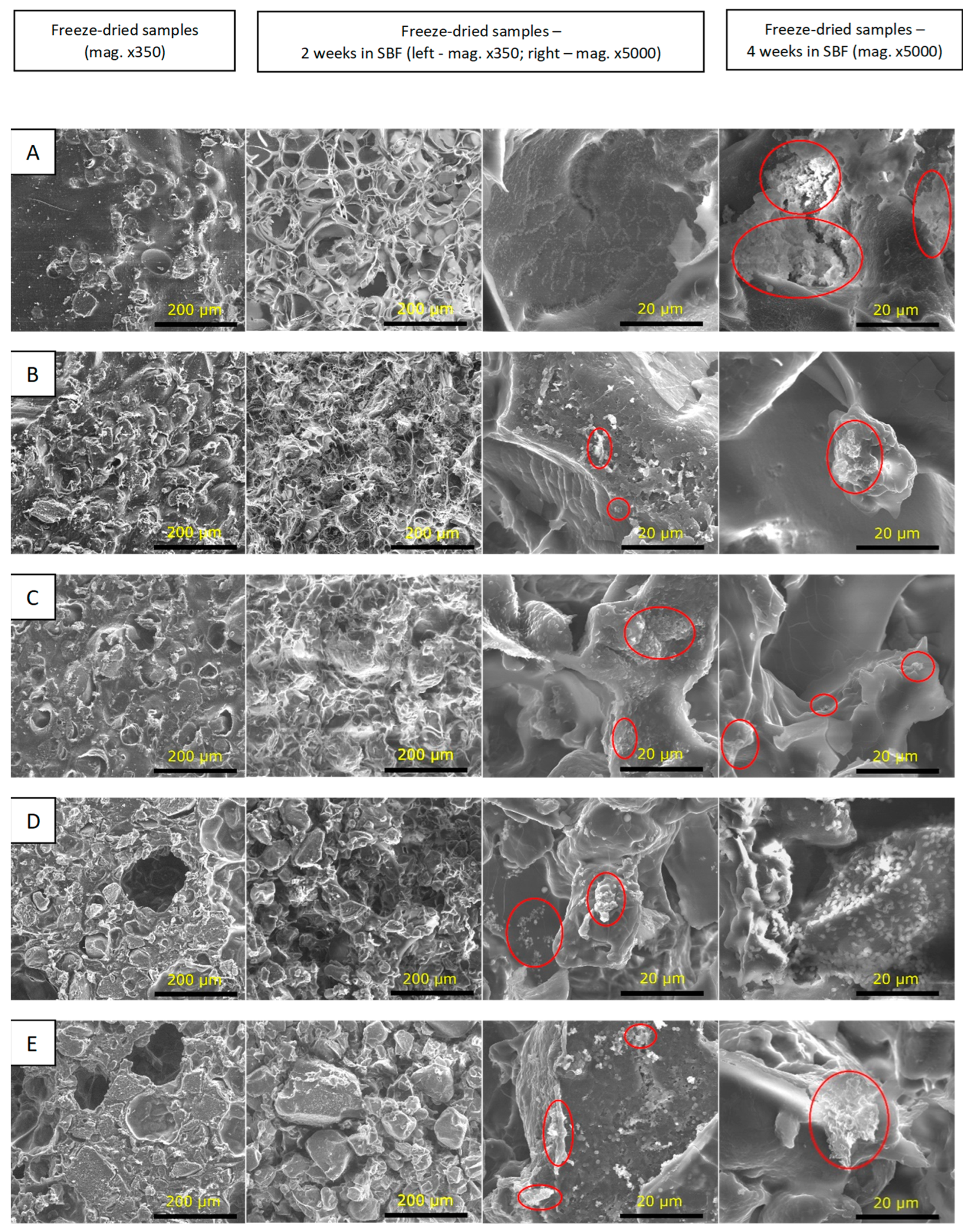 Polymers 15 03867 g007