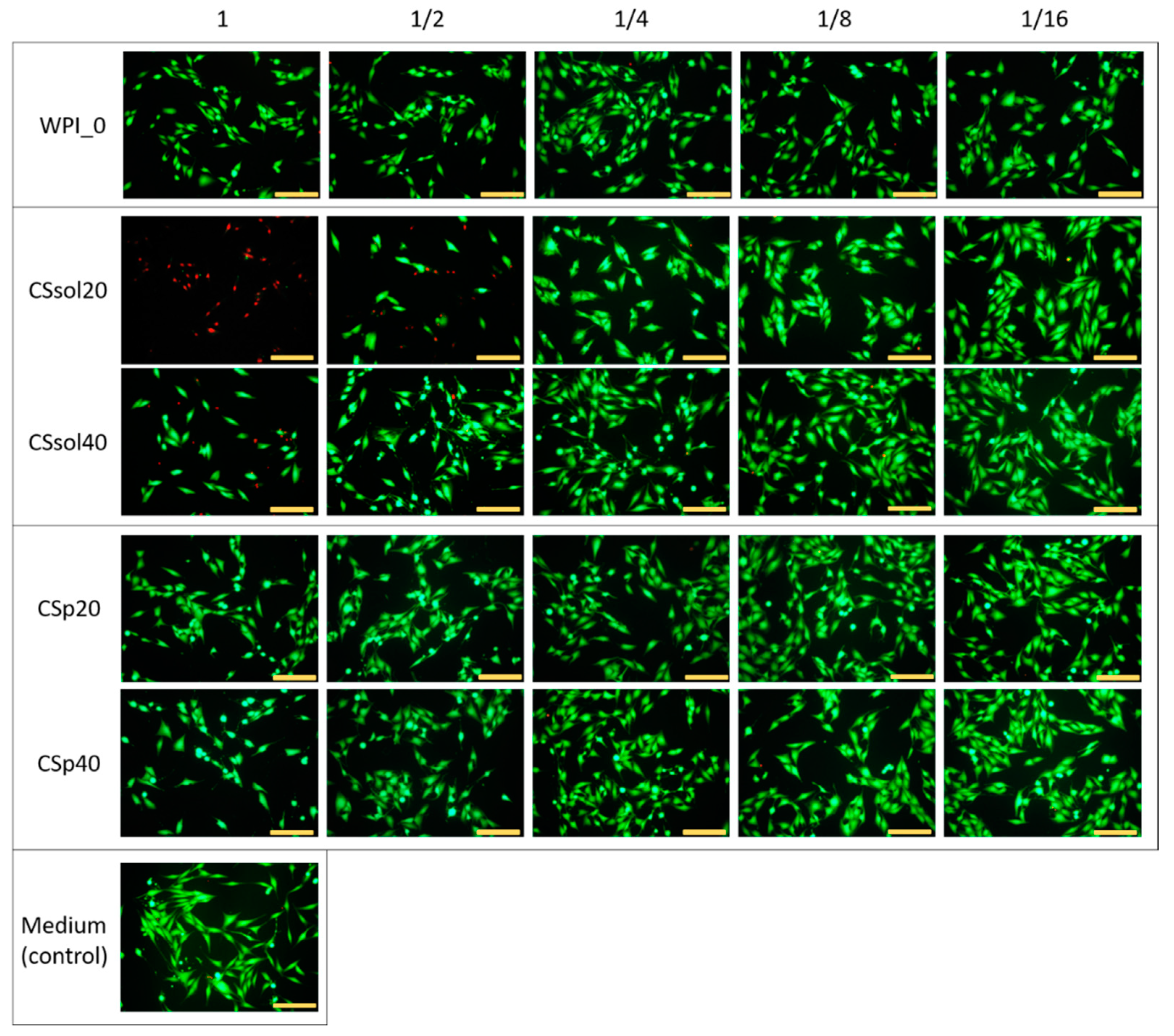 Polymers 15 03867 g011