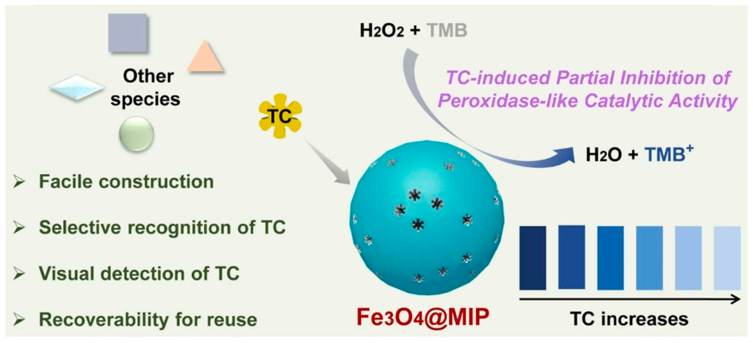Polymers 15 03868 g008