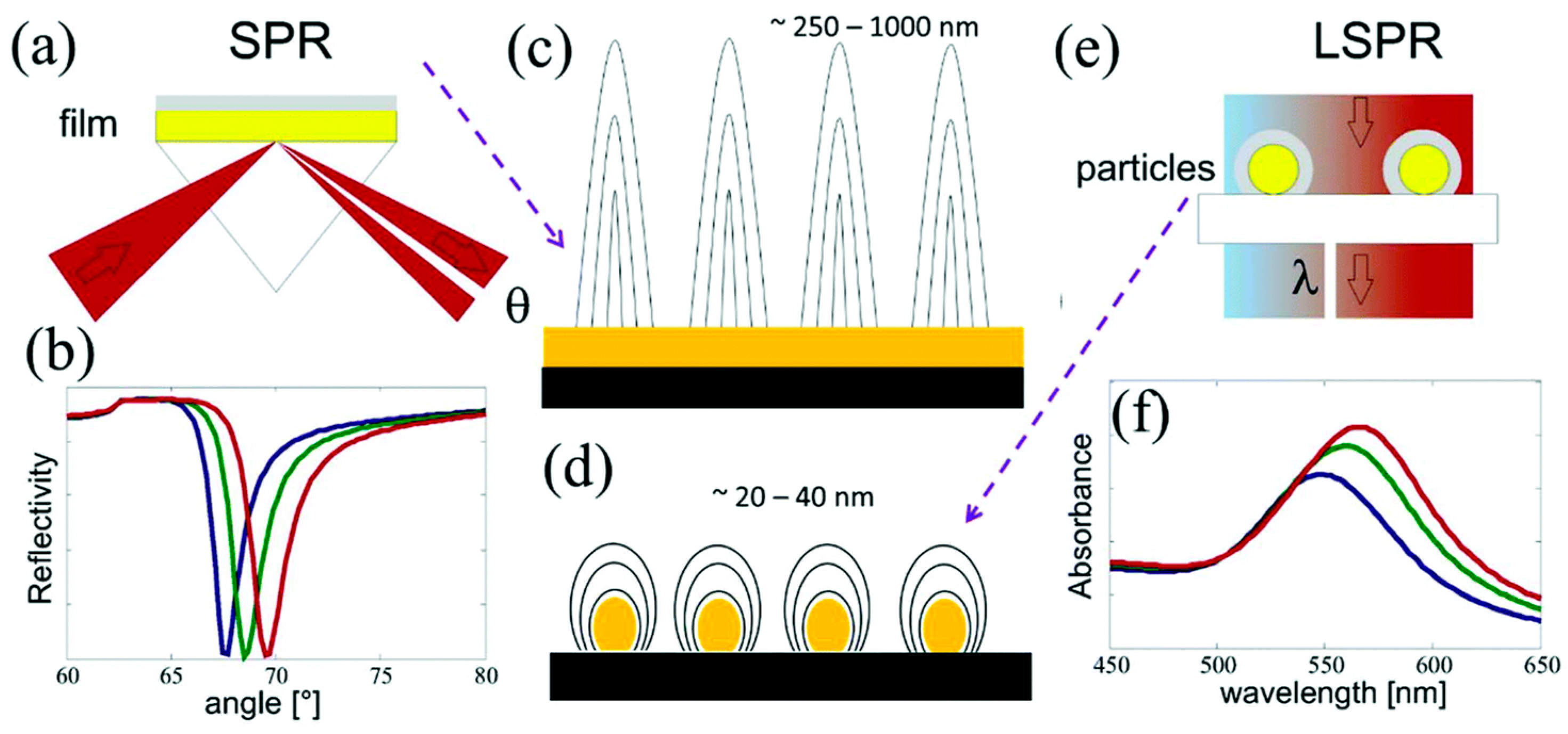 Polymers 15 03868 g009