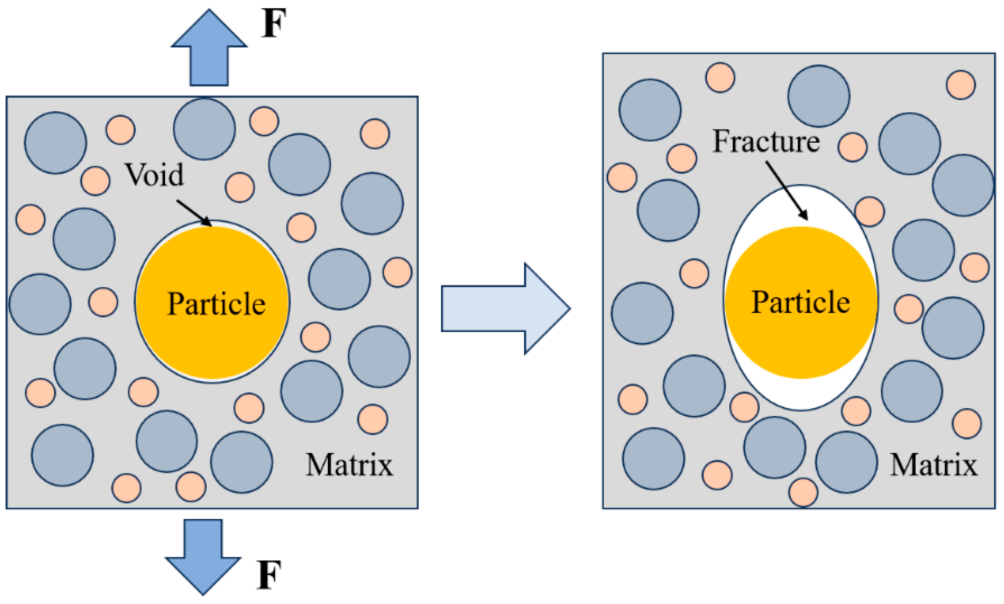 Polymers 15 03869 g007