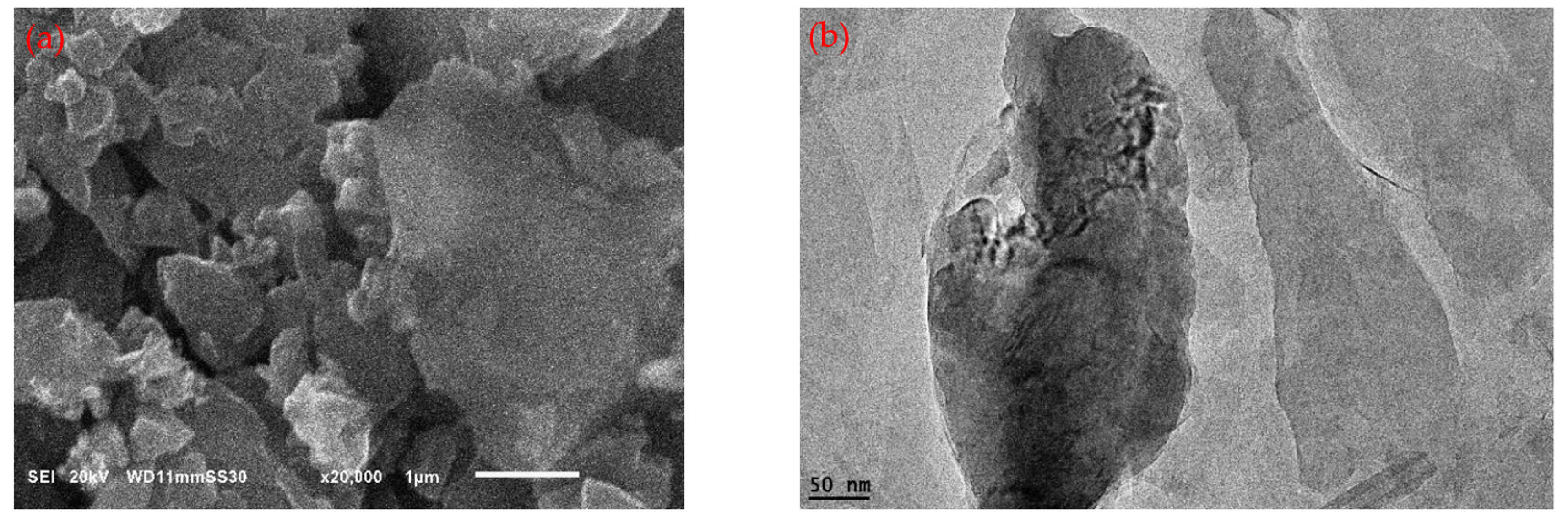Polymers 15 03880 g003