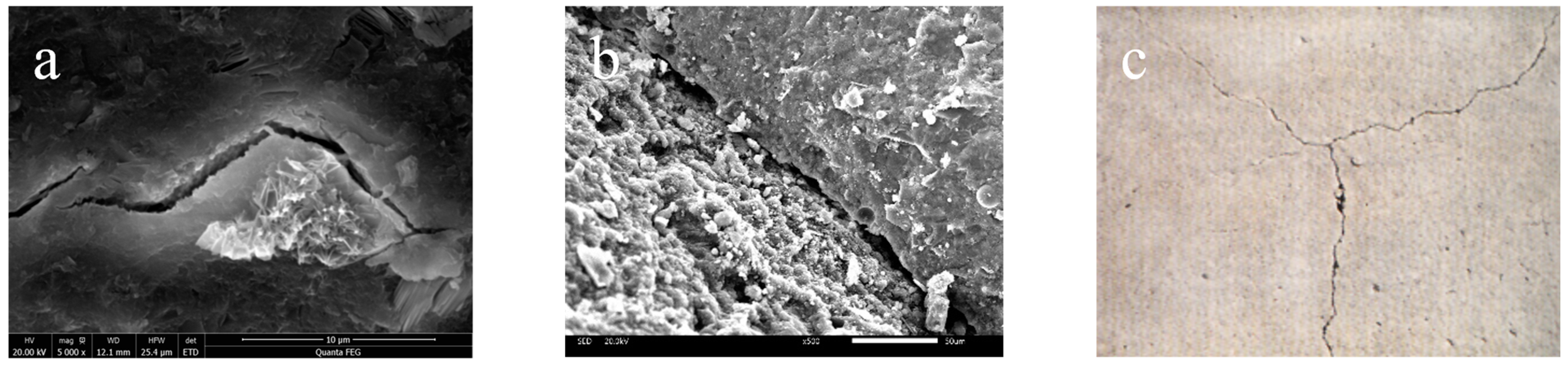 Polymers 15 03884 g005