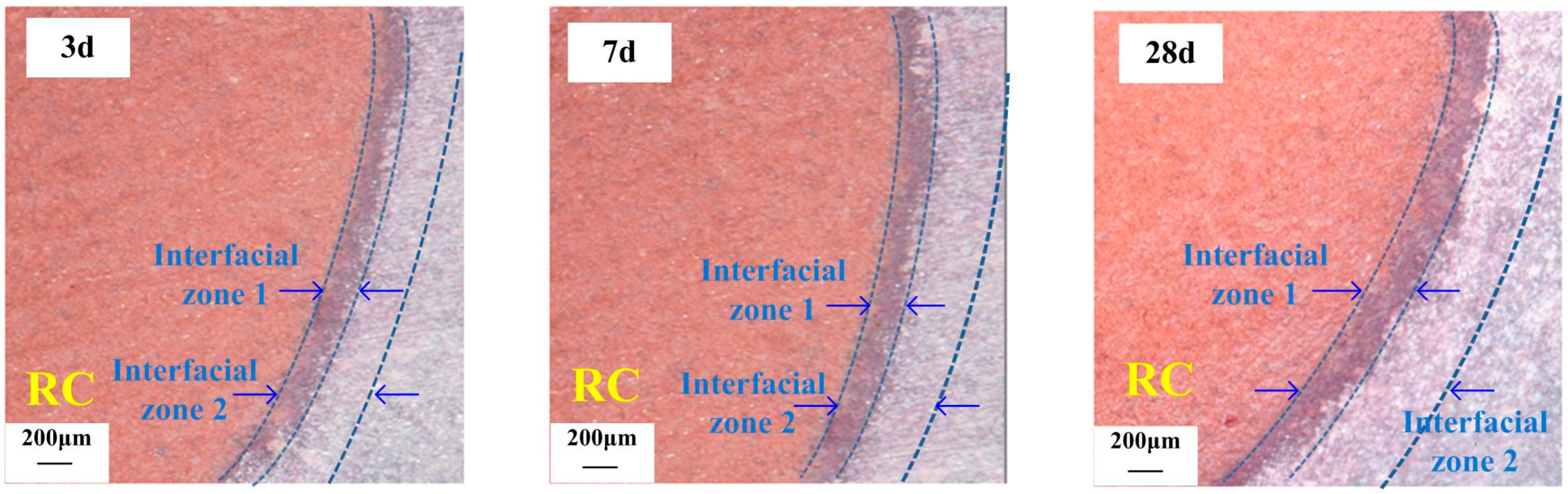 Polymers 15 03884 g011