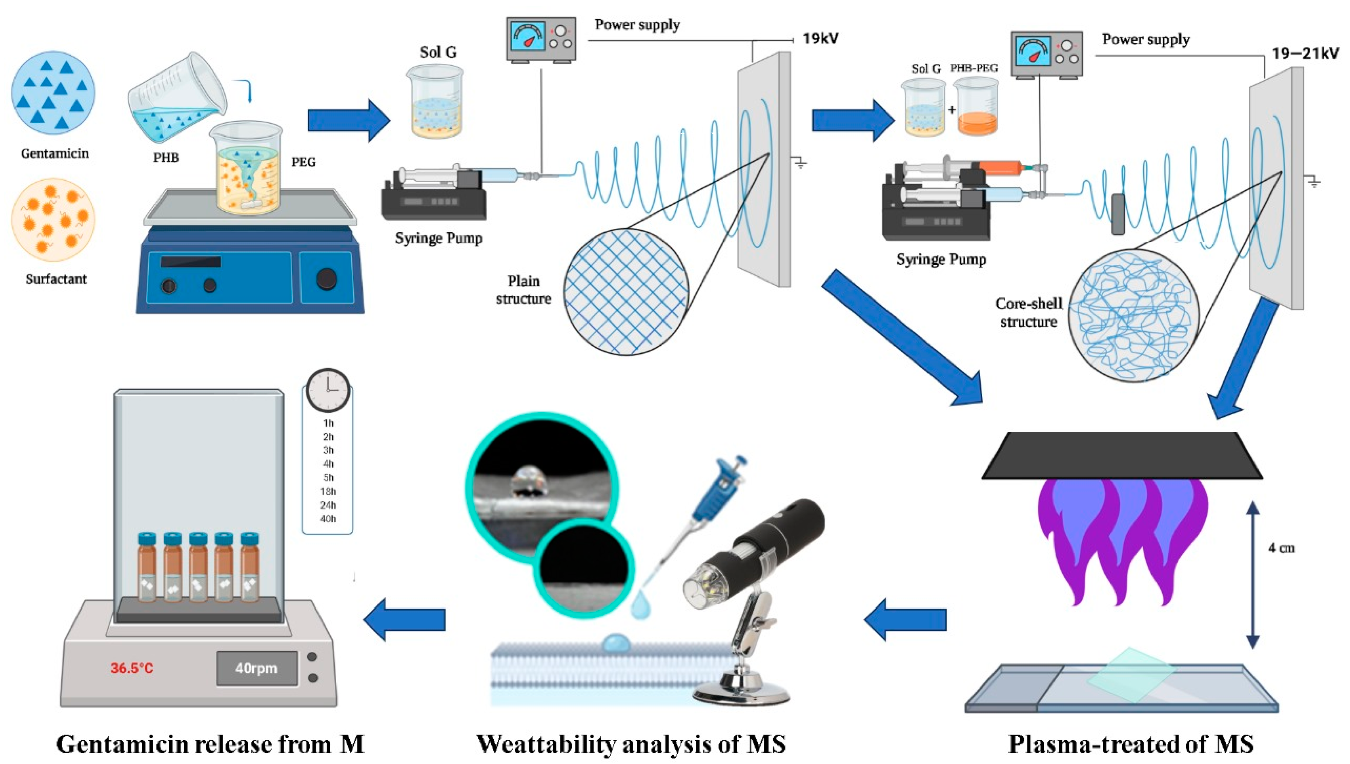 Polymers 15 03889 g001