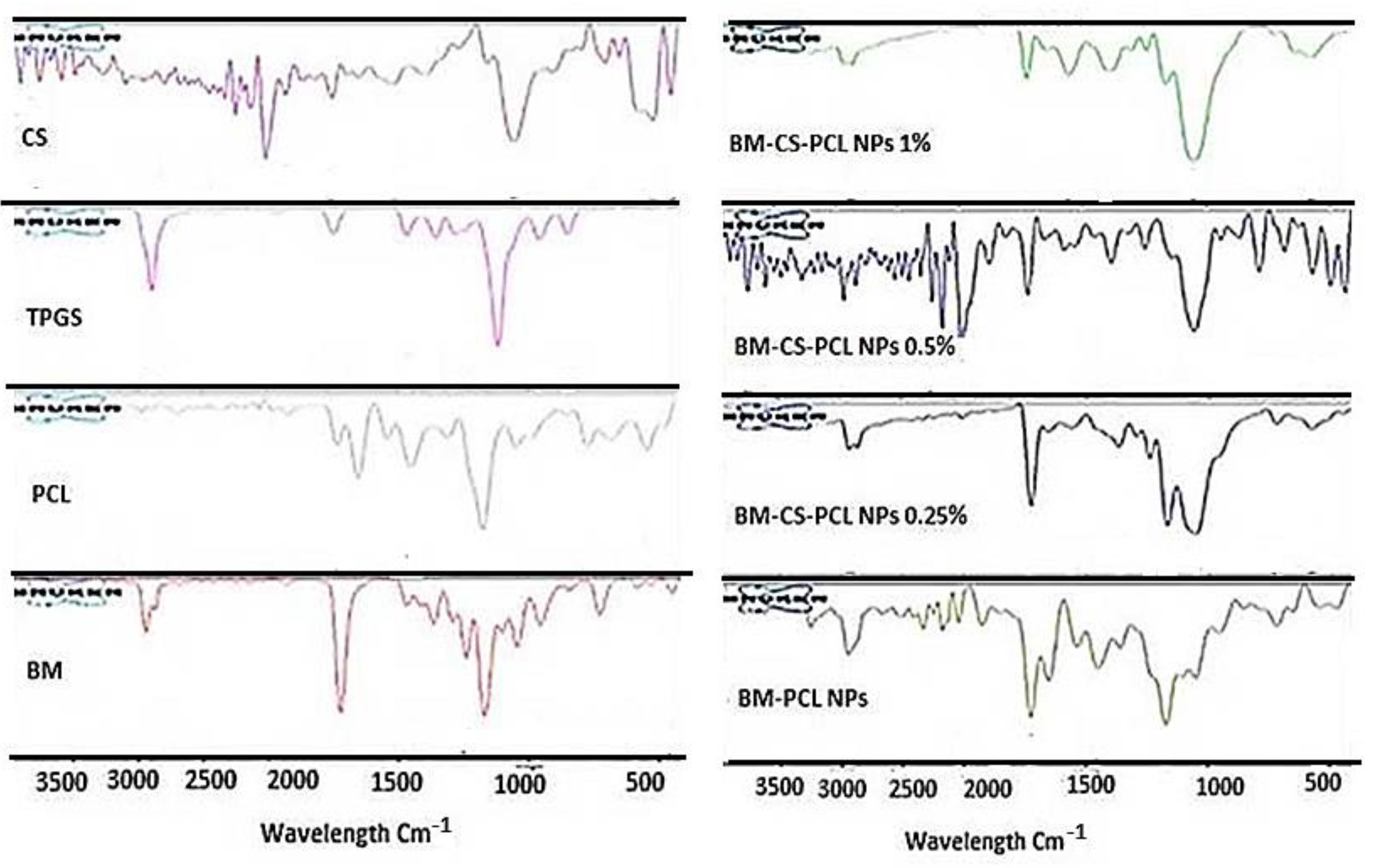 Polymers 15 03890 g005