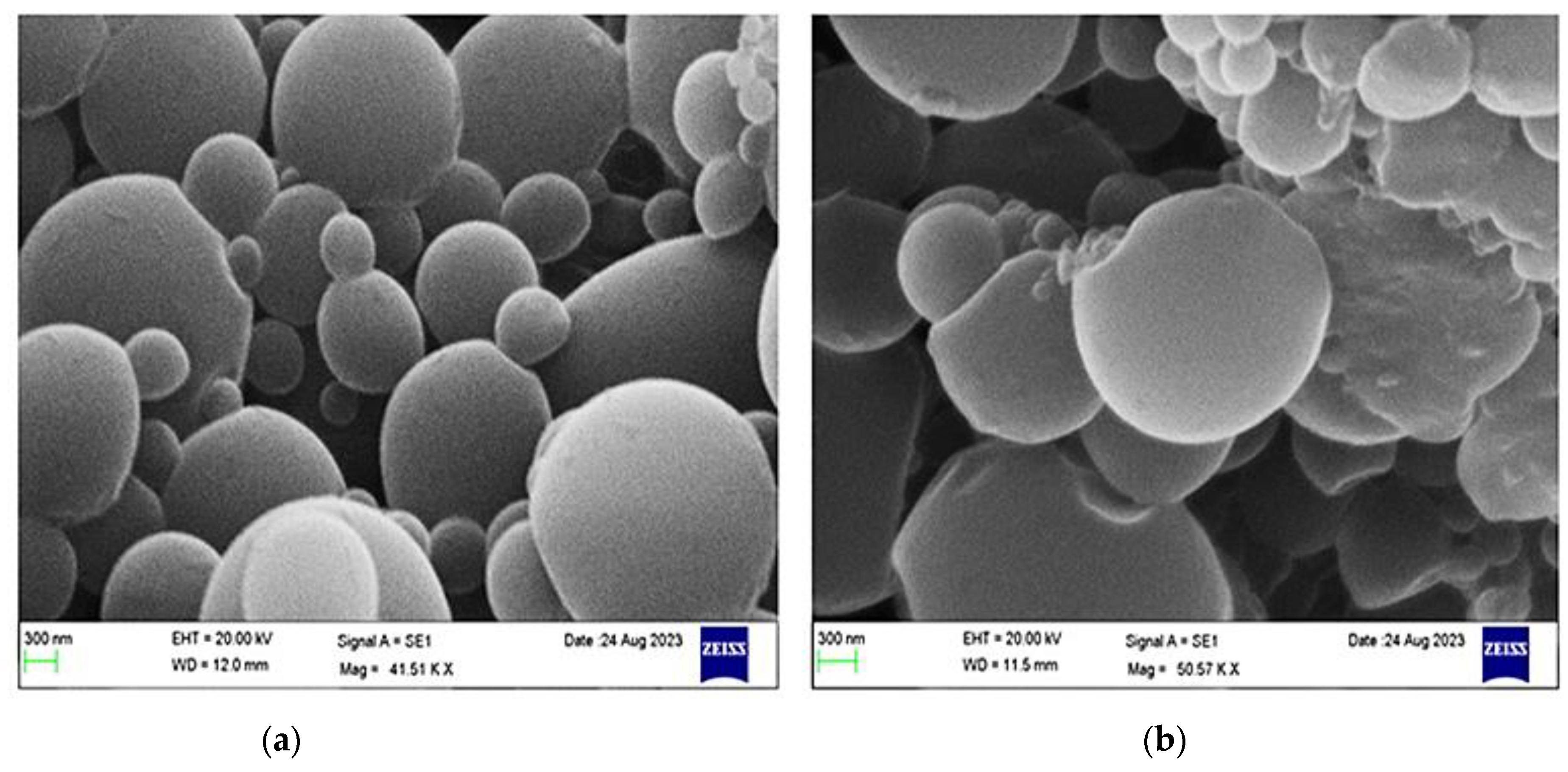 Polymers 15 03890 g007