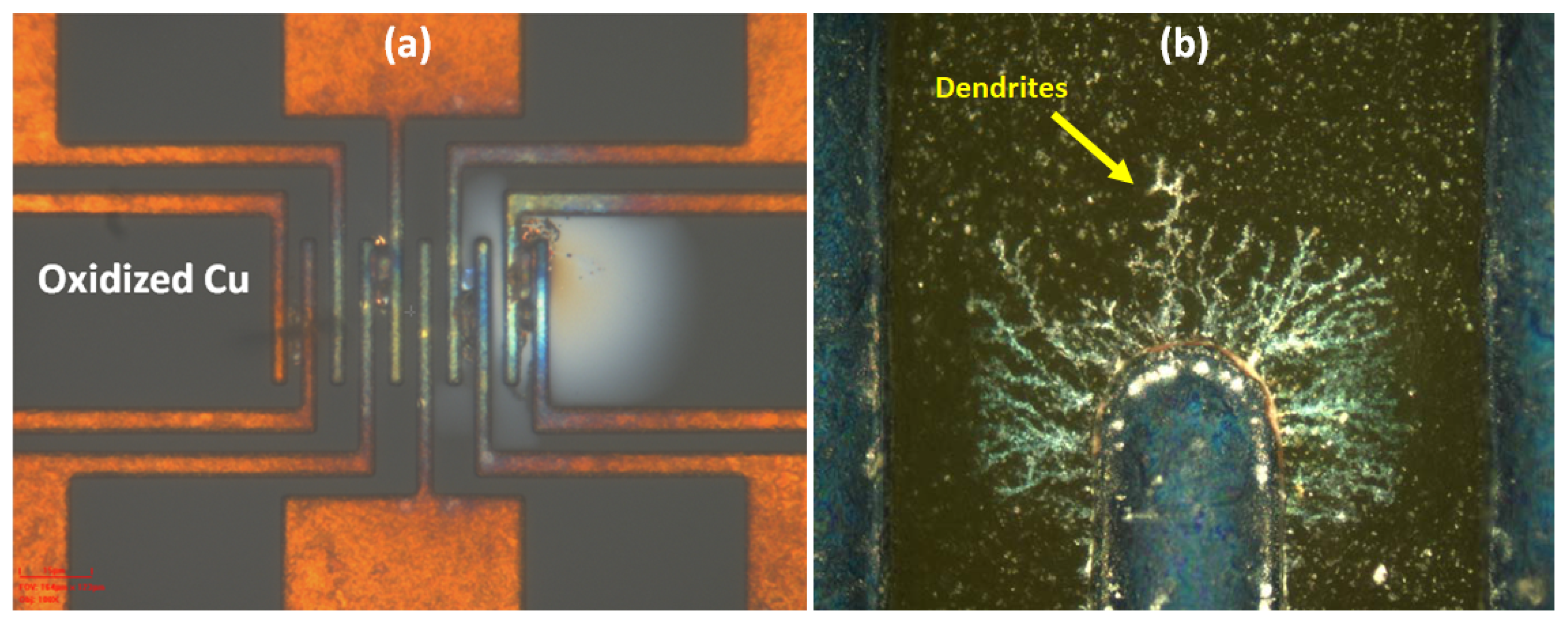 Polymers 15 03895 g014 Polymers 15 03895 g014