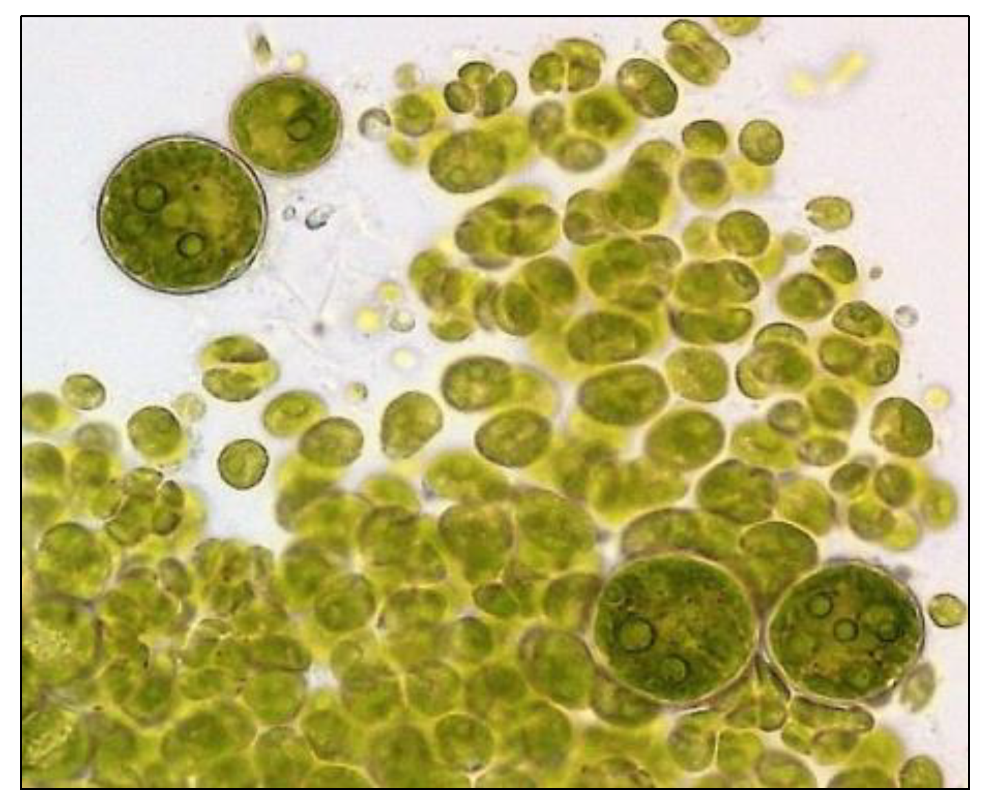 Polymers 15 03901 g004