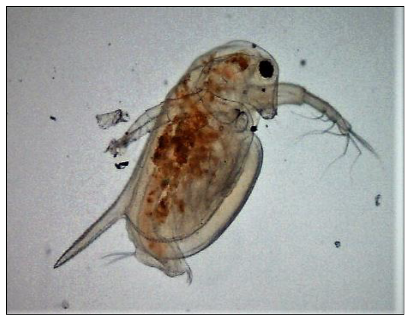 Polymers 15 03901 g006