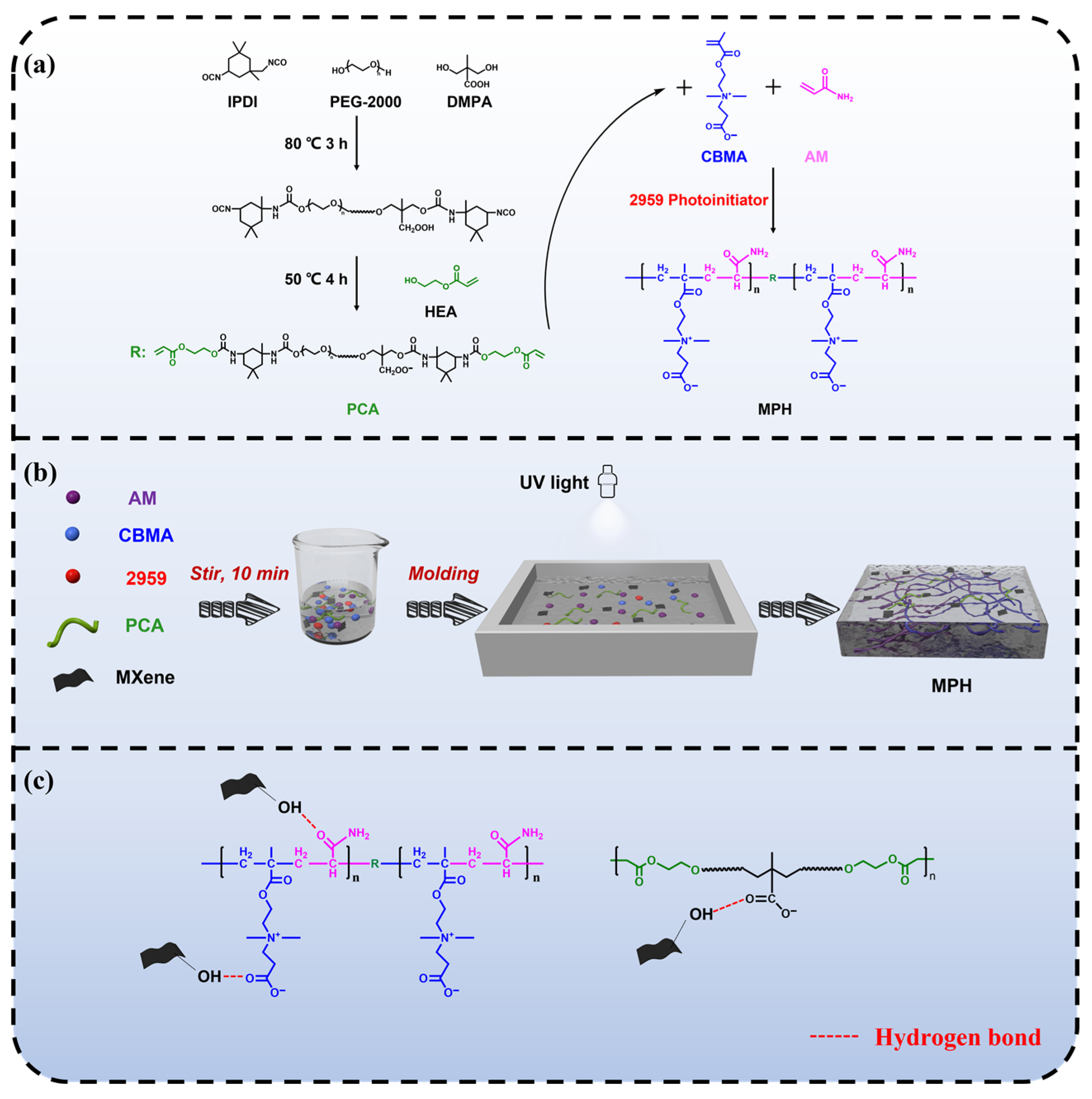 Polymers 15 03902 g001