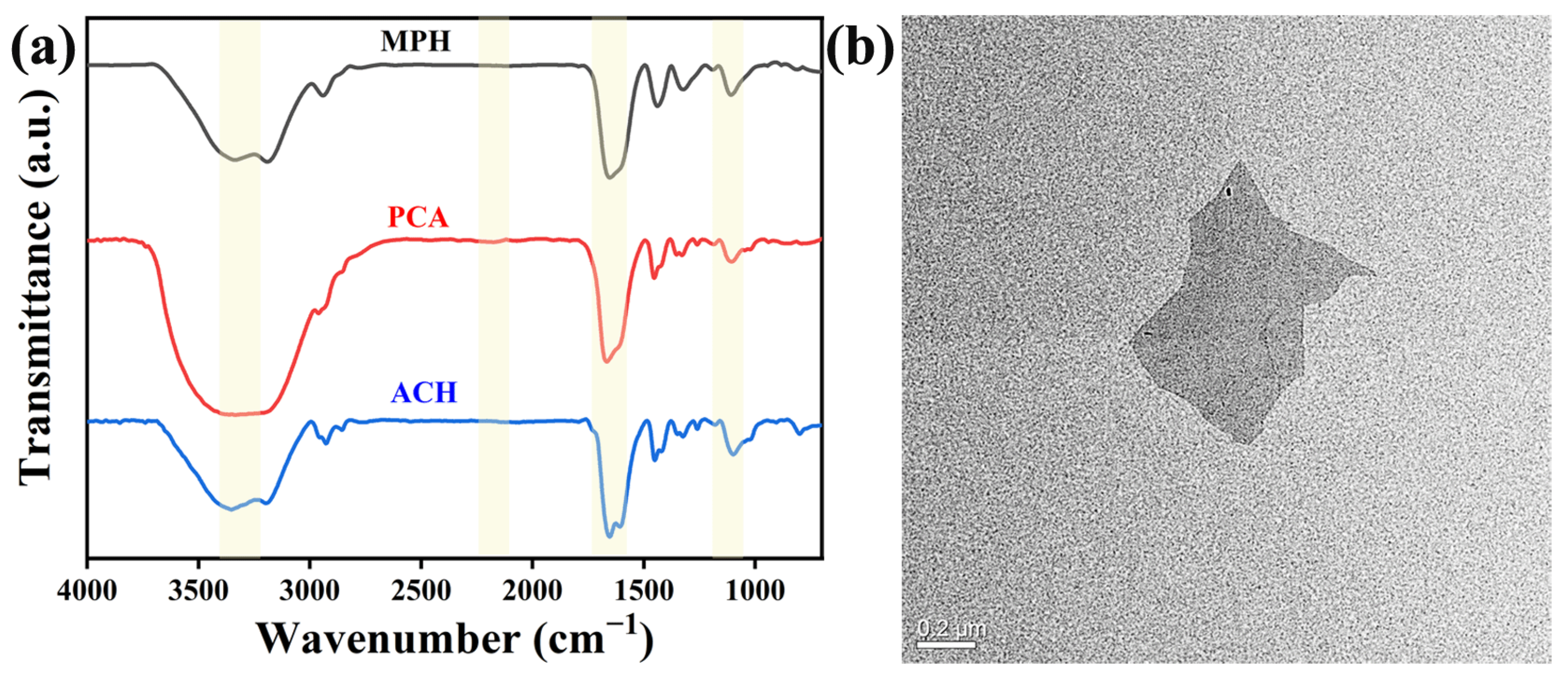 Polymers 15 03902 g002