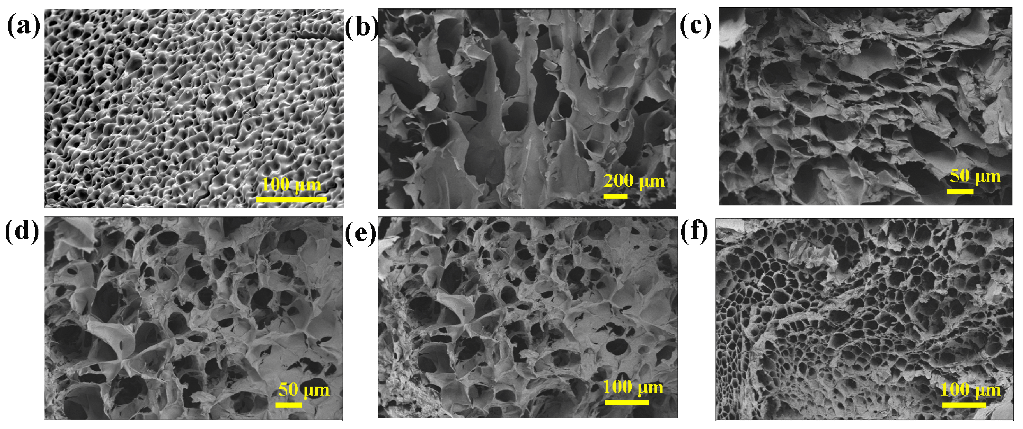 Polymers 15 03902 g003