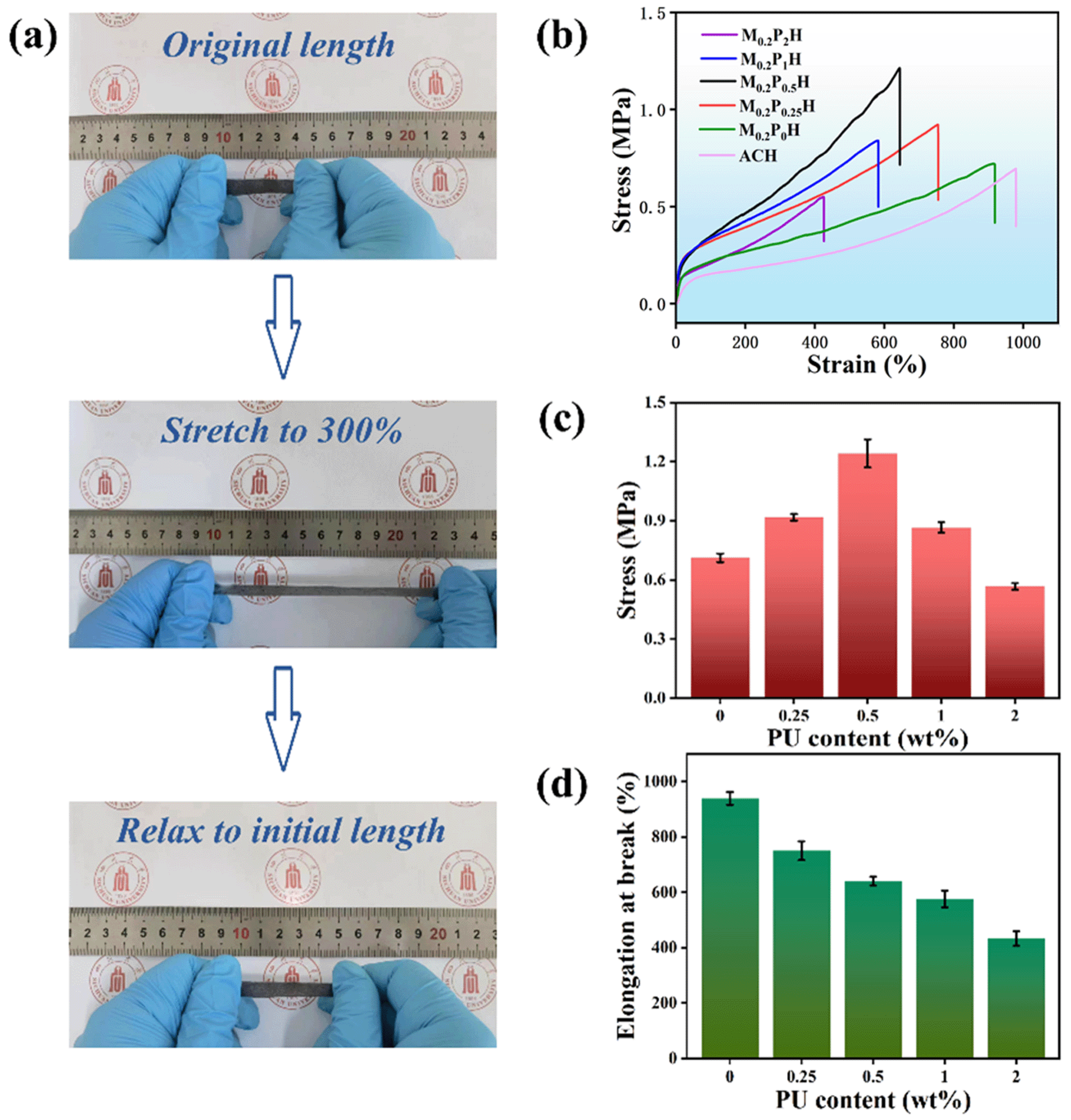 Polymers 15 03902 g004