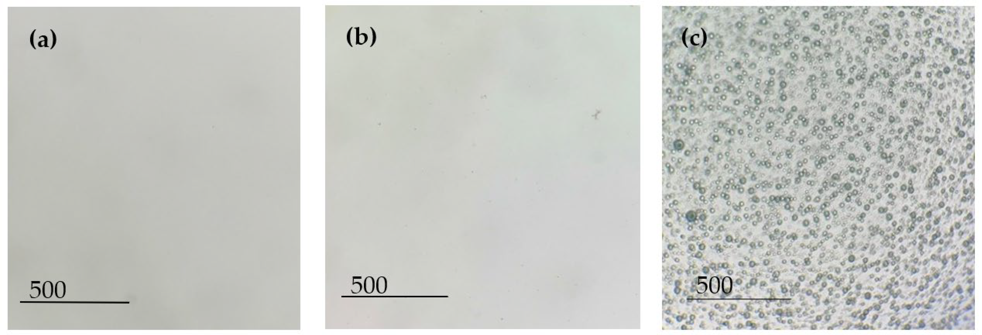 Polymers 15 03903 g002