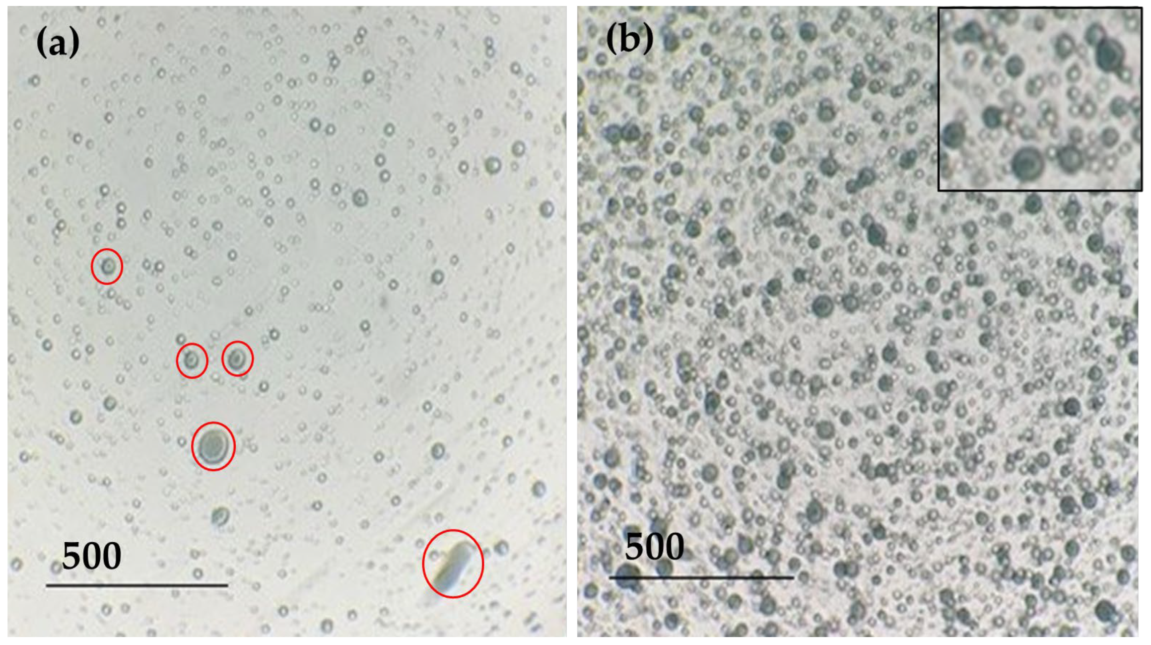 Polymers 15 03903 g003