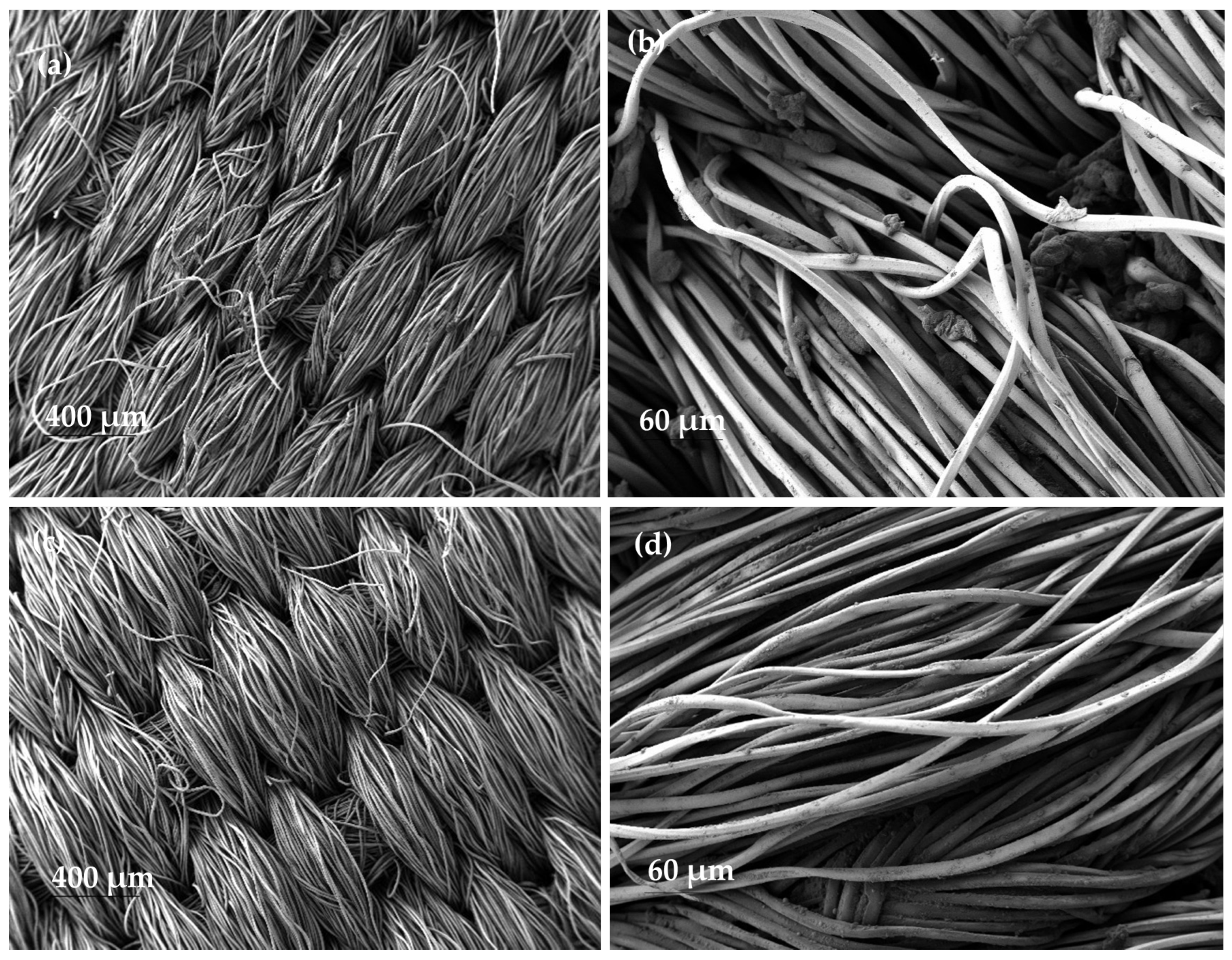 Polymers 15 03903 g011
