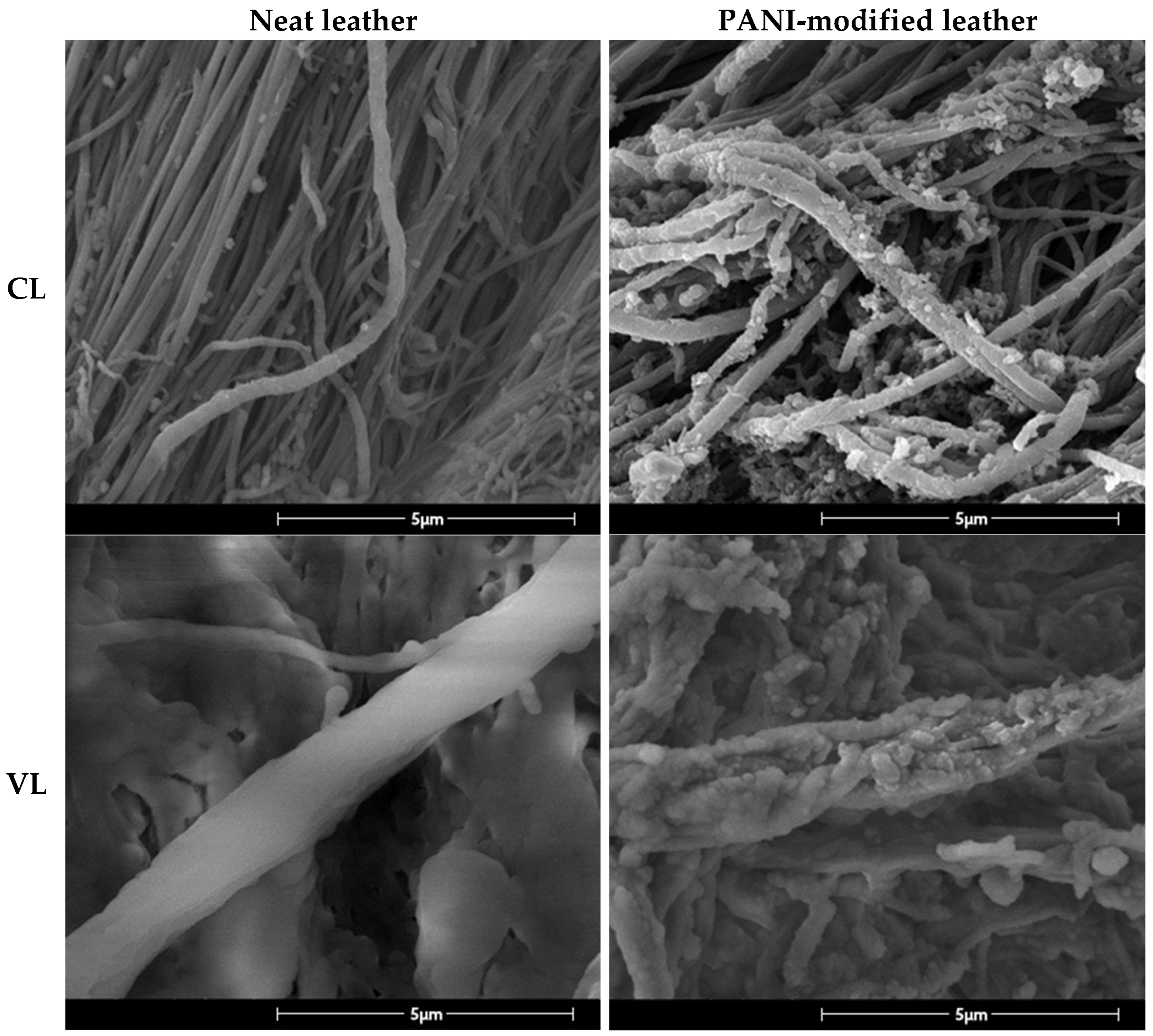 Polymers 15 03904 g002