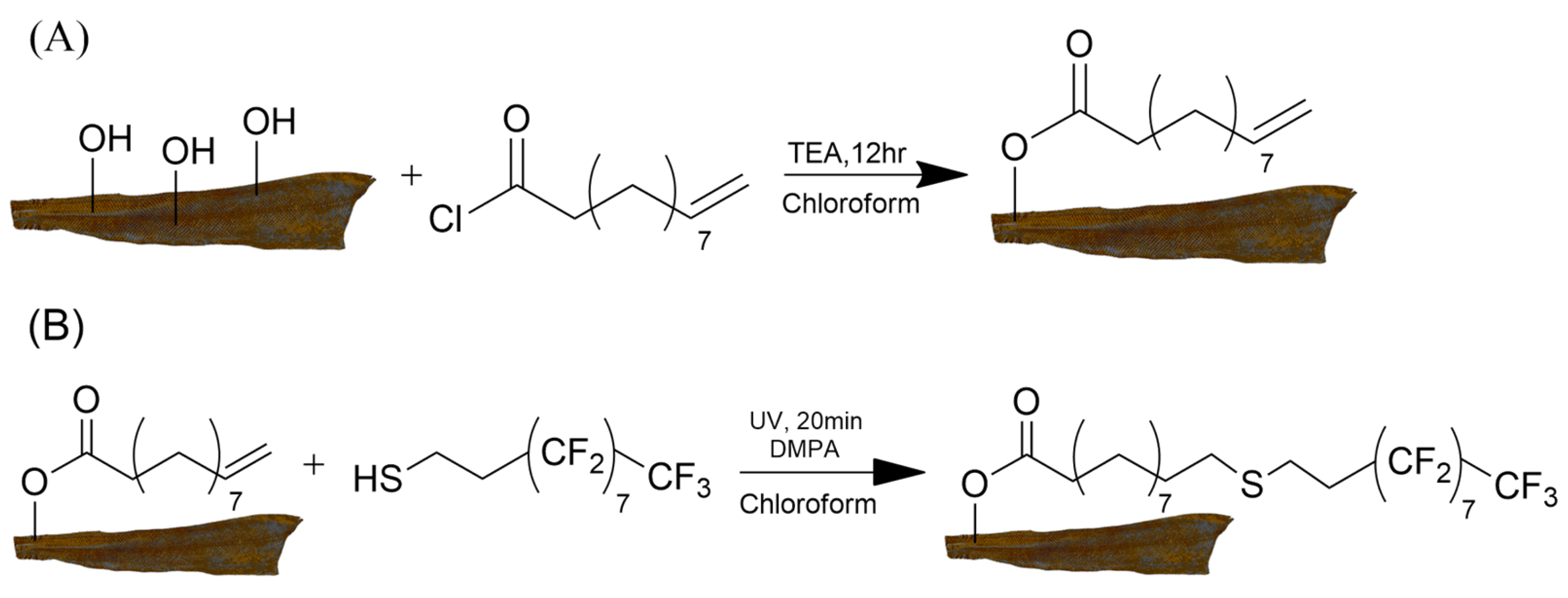 Polymers 15 03904 sch002