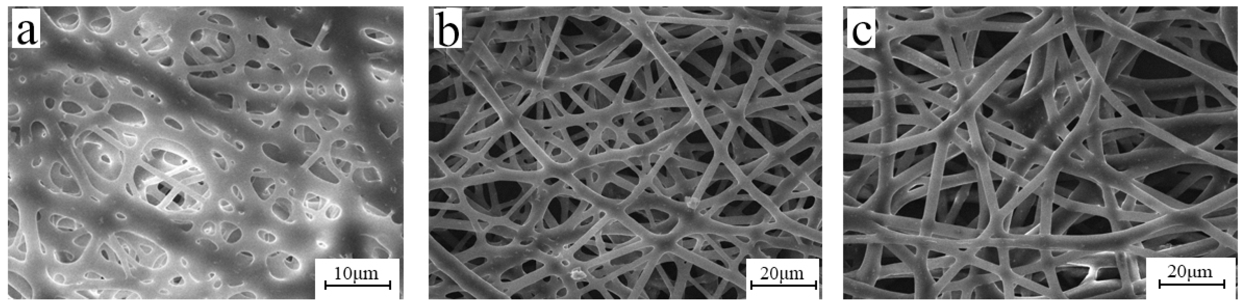 Polymers 15 03909 g001