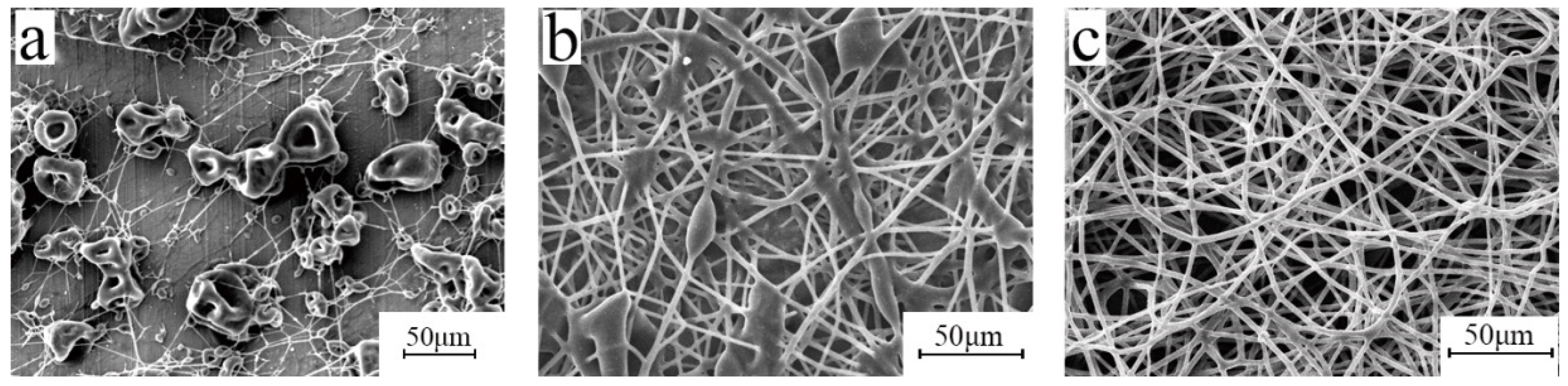 Polymers 15 03909 g003