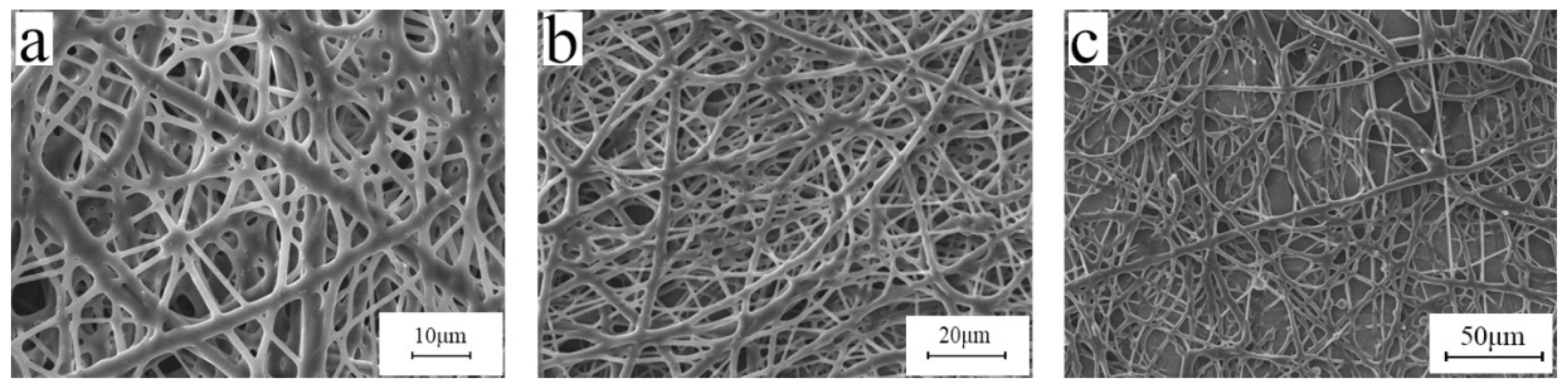 Polymers 15 03909 g005