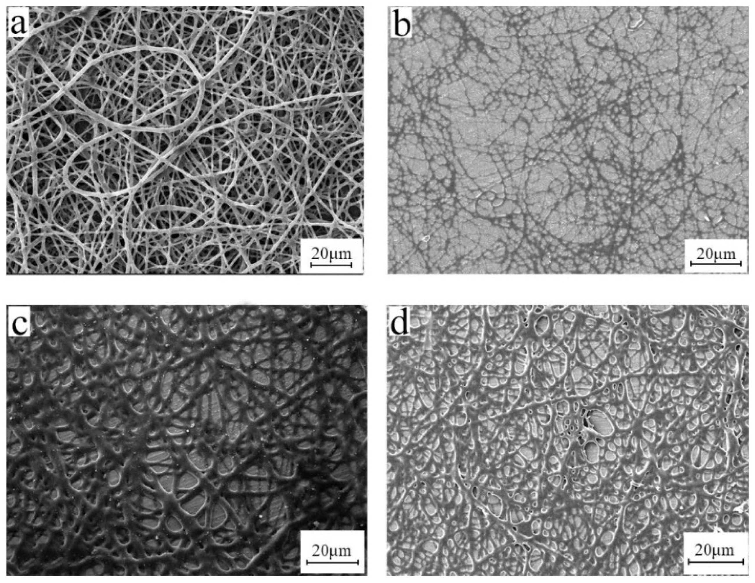 Polymers 15 03909 g007