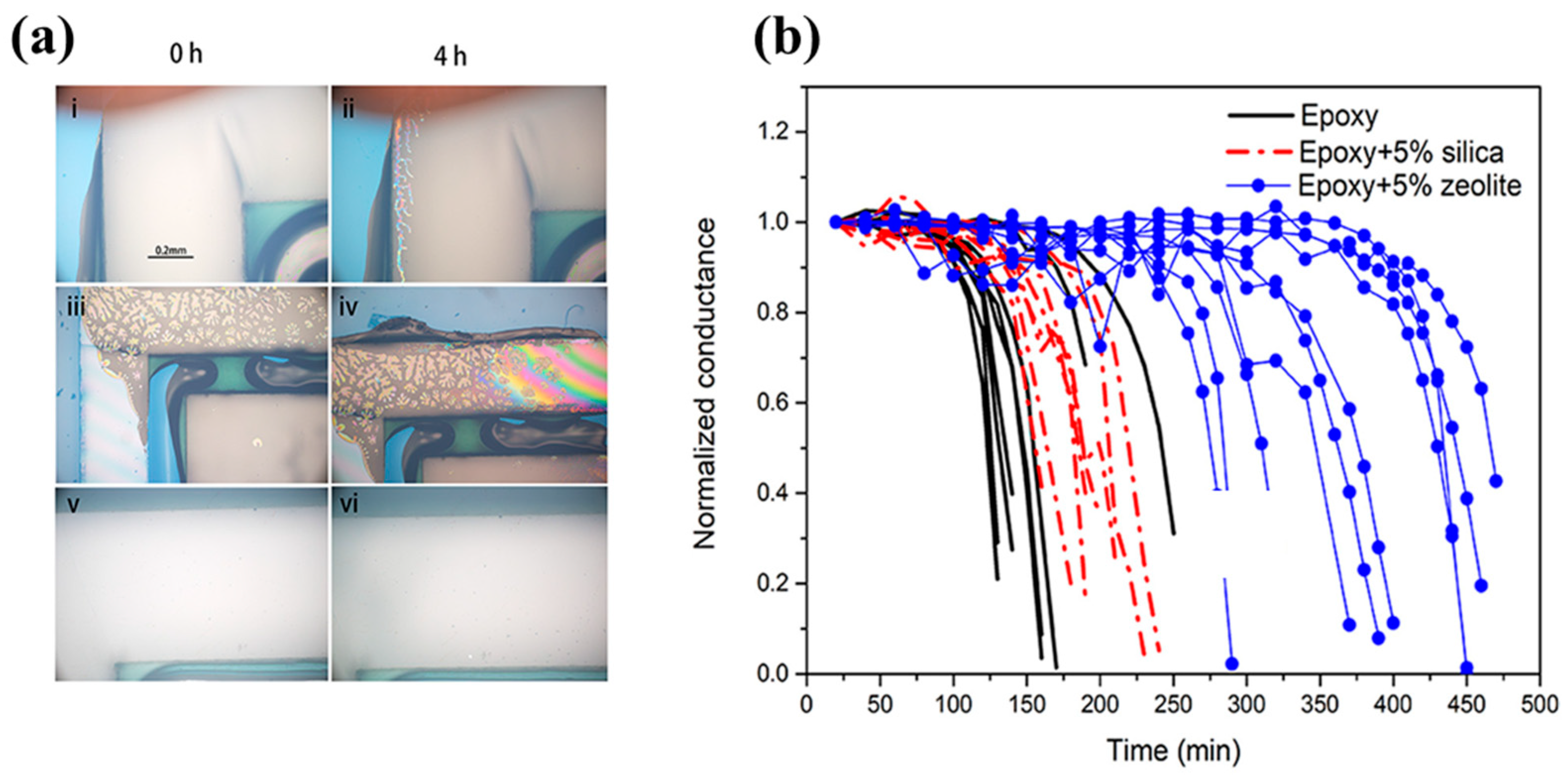 Polymers 15 03911 g005