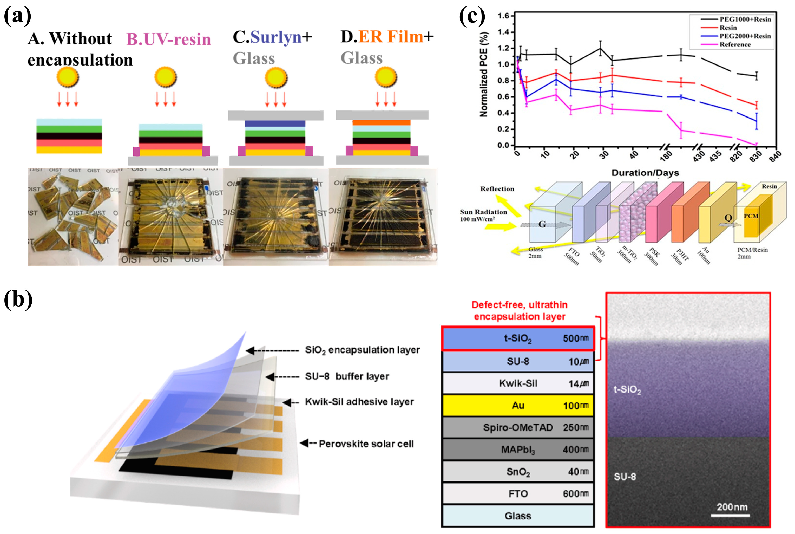 Polymers 15 03911 g009