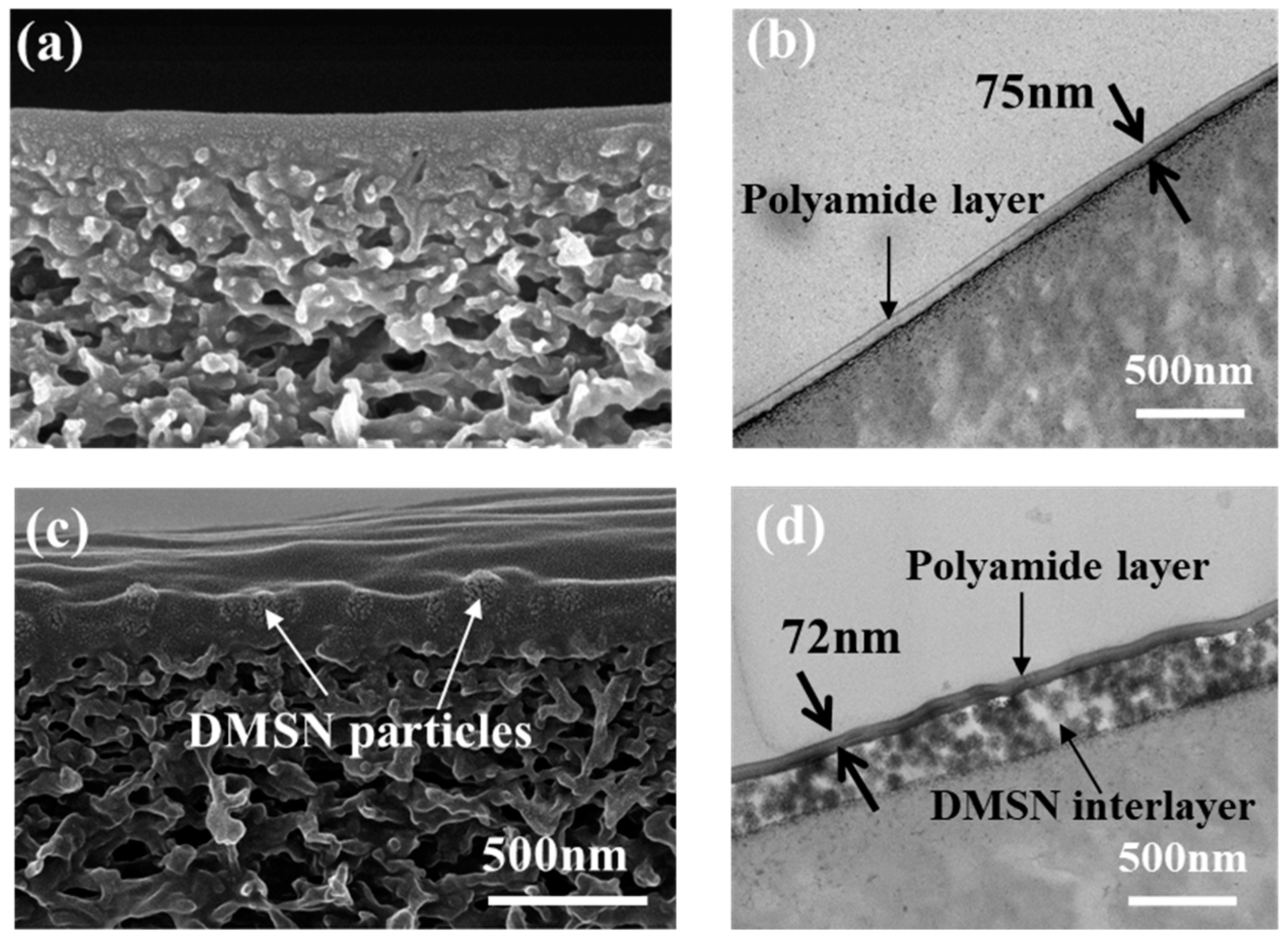 Polymers 15 03912 g005
