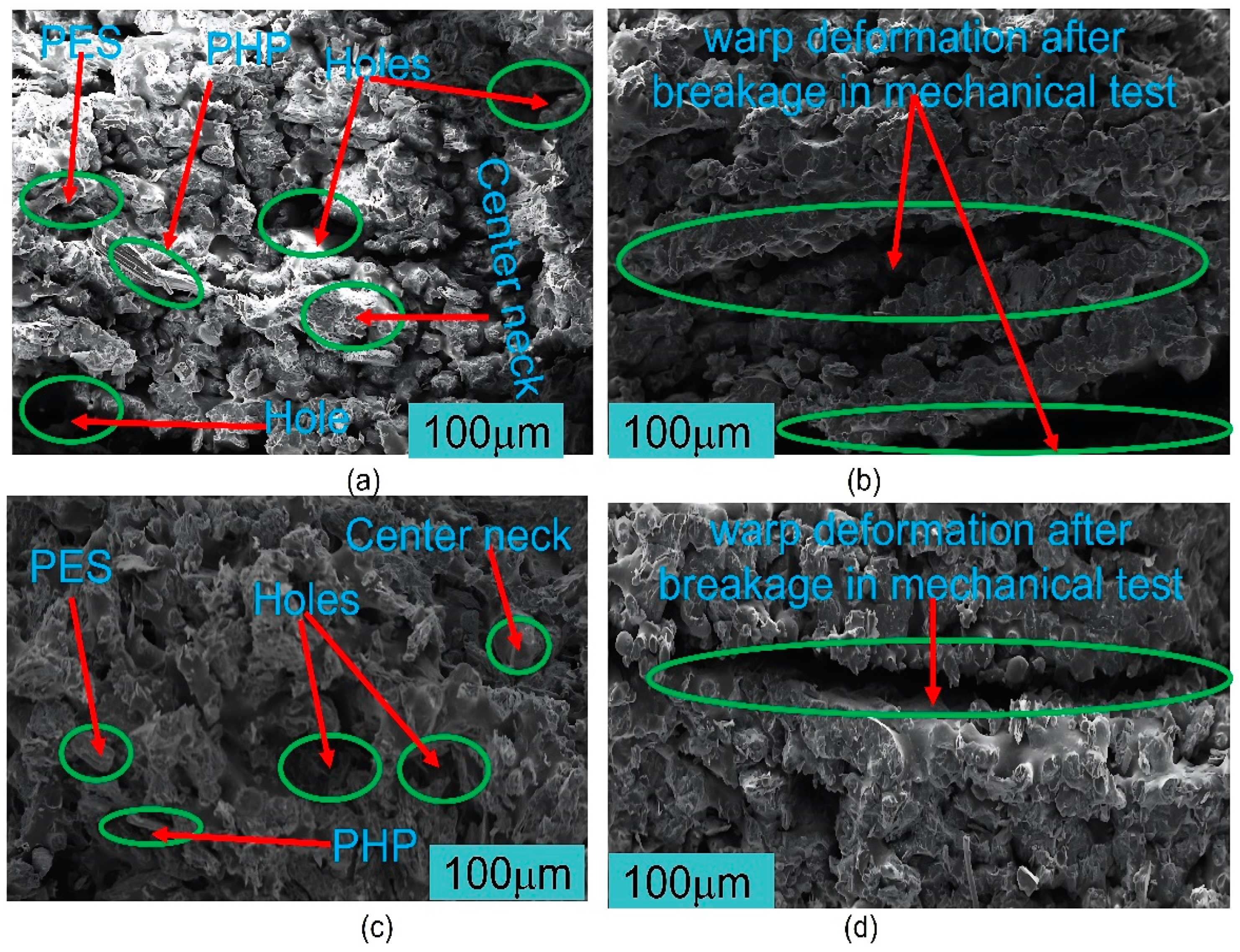 Polymers 15 03913 g013a