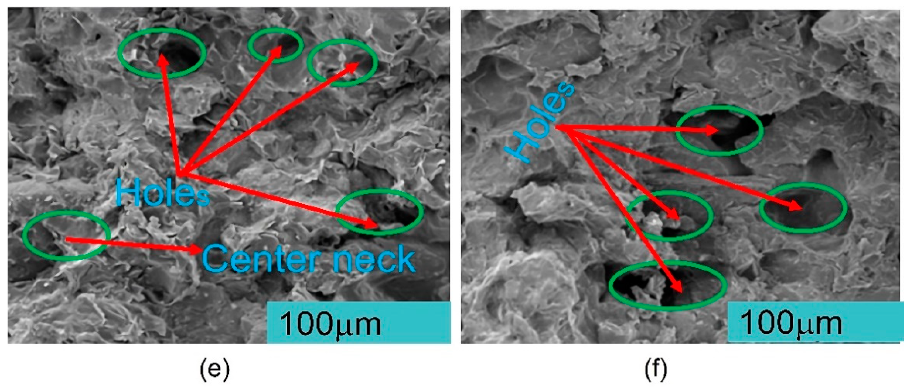 Polymers 15 03913 g013b