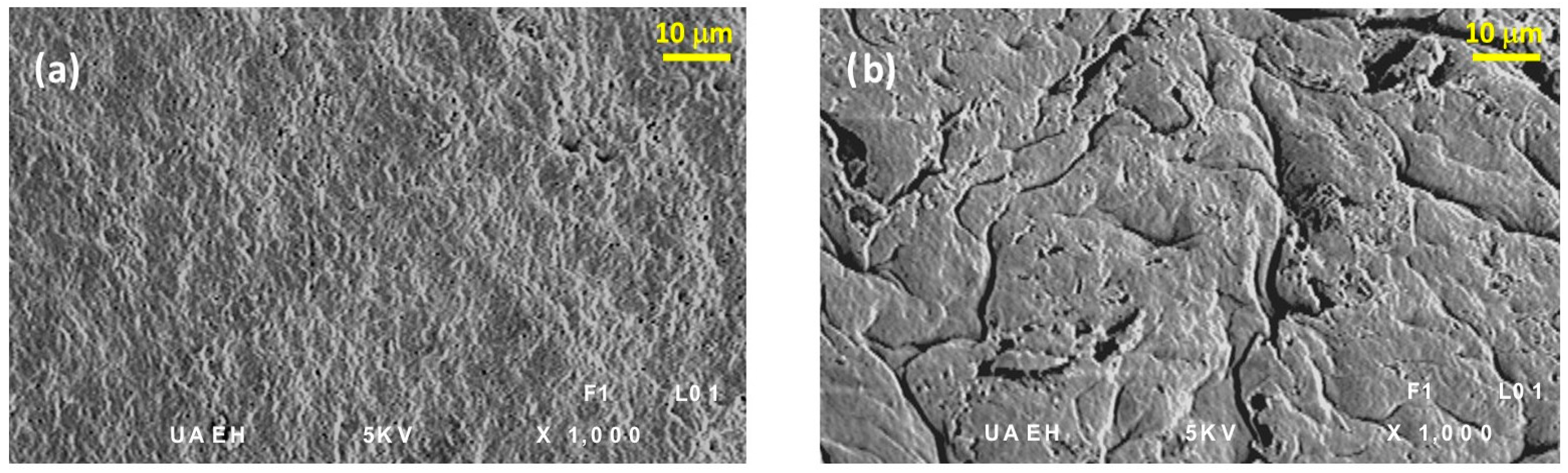 Polymers 15 03917 g008