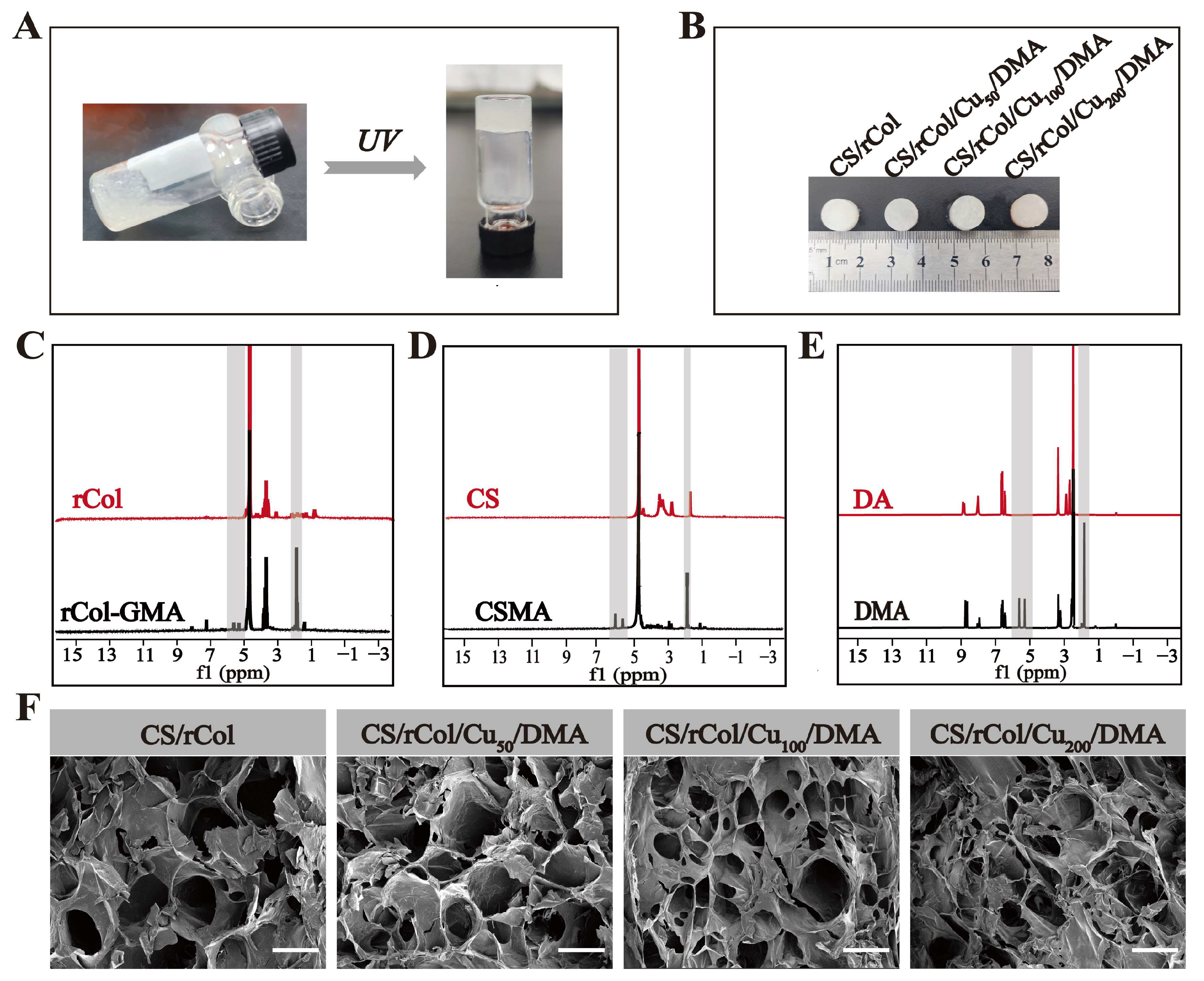 Polymers 15 03919 g002