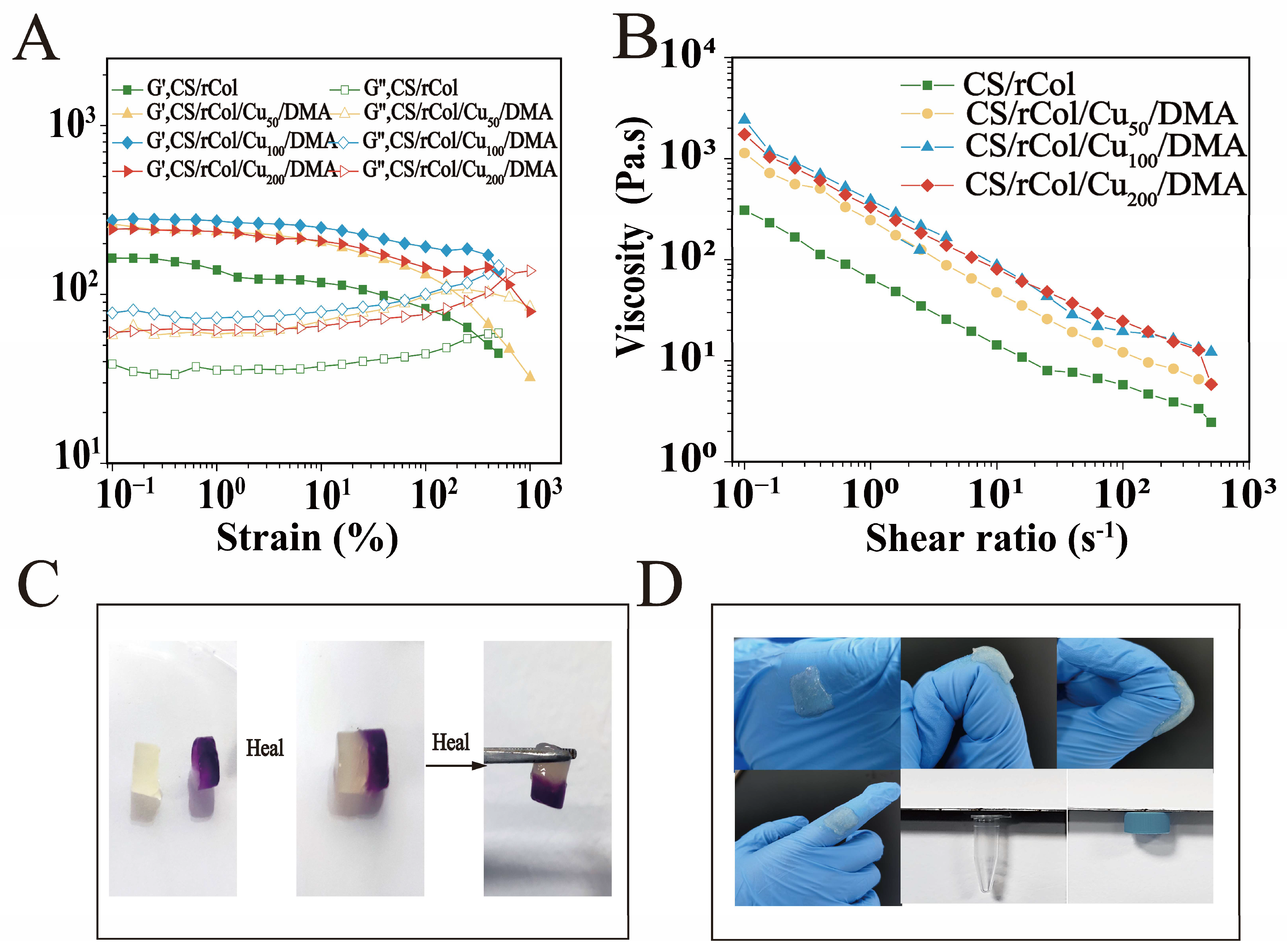Polymers 15 03919 g004