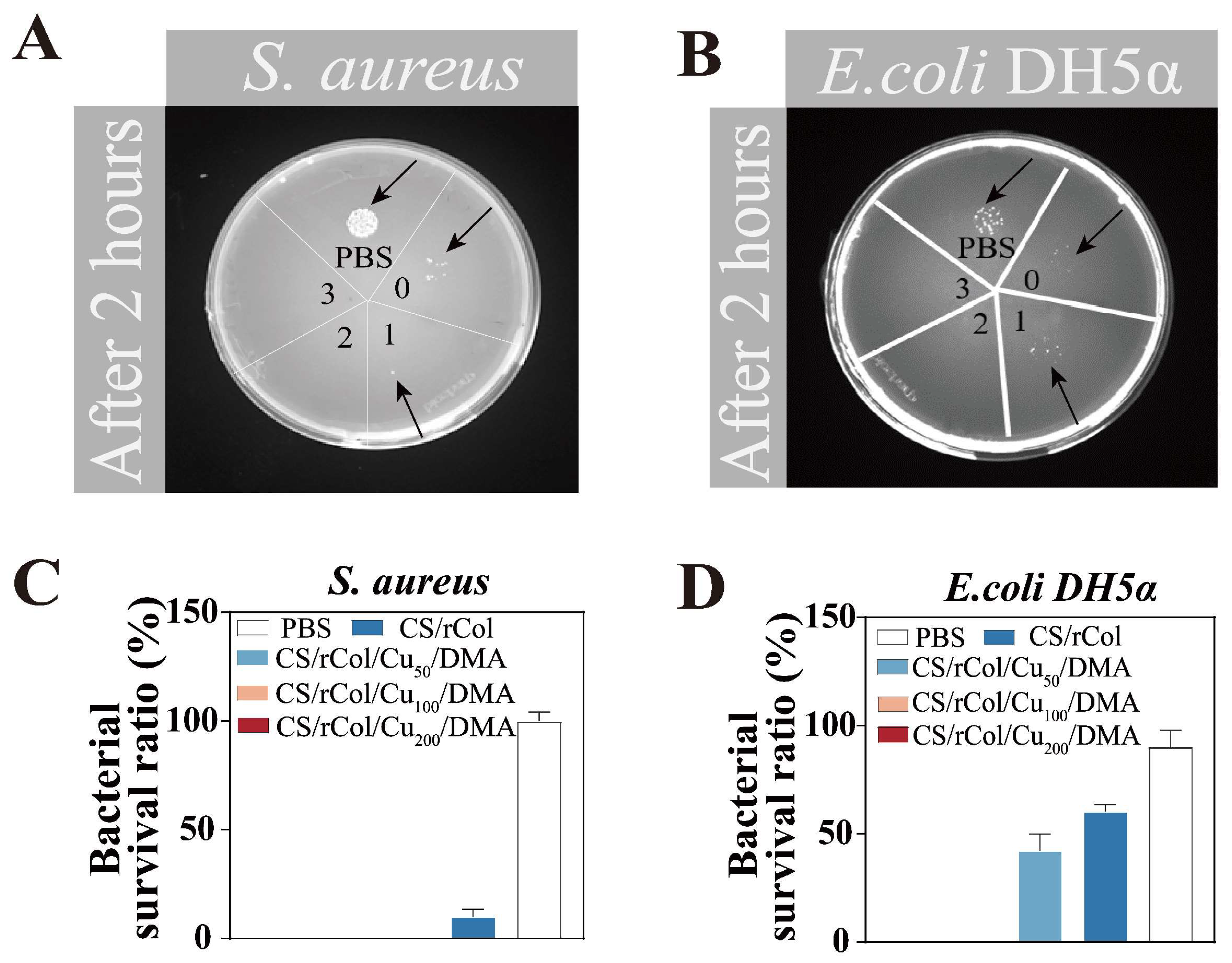 Polymers 15 03919 g006