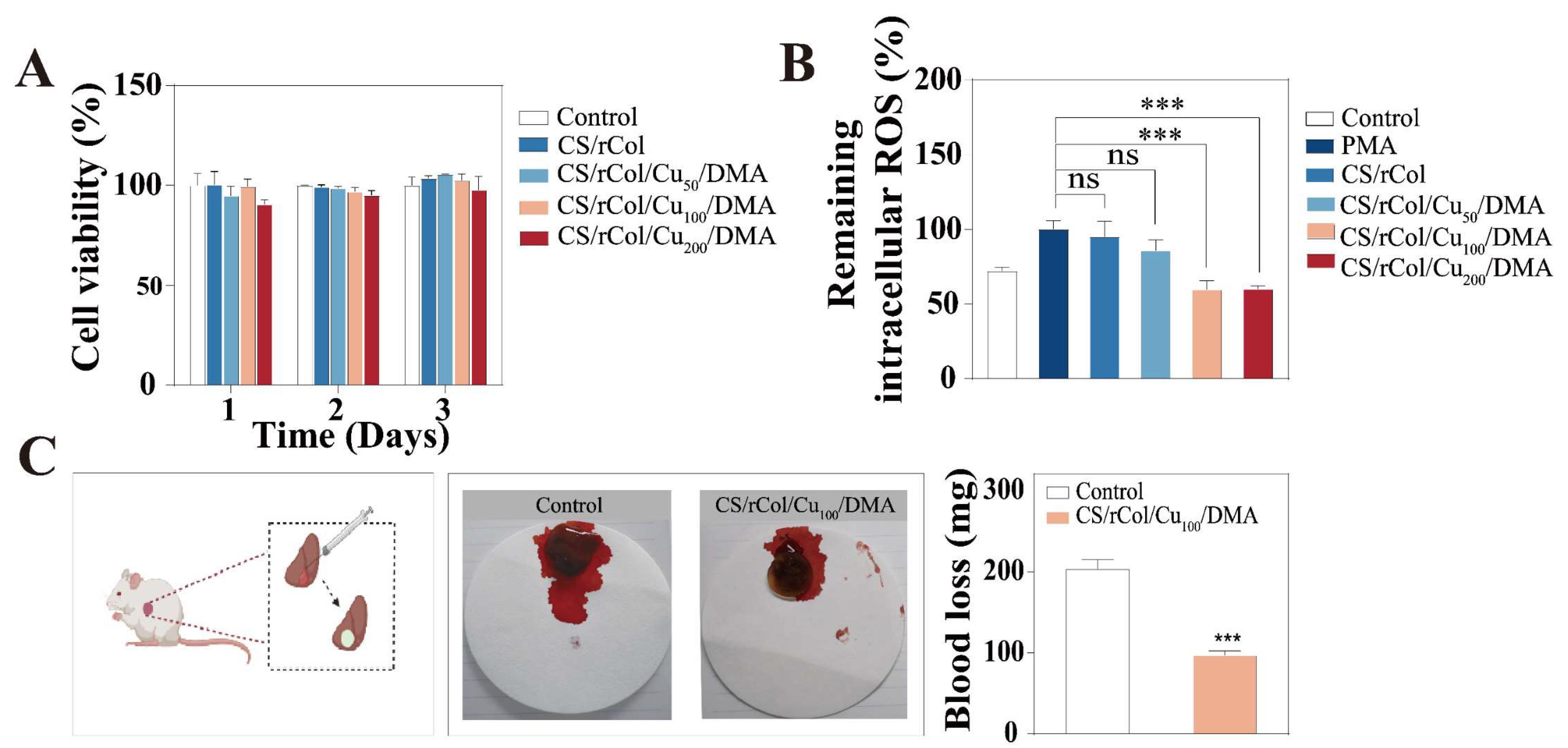 Polymers 15 03919 g007