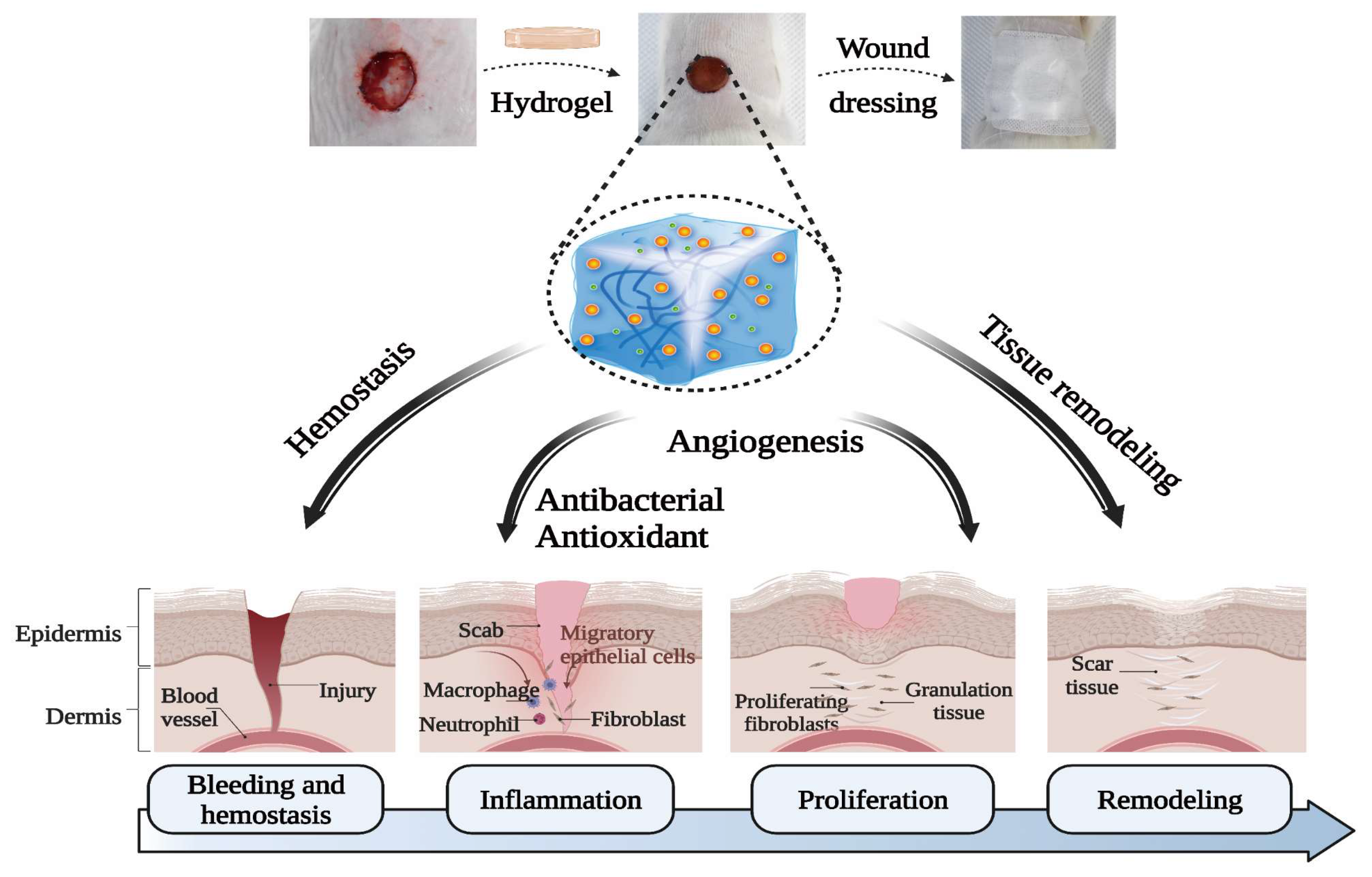 Polymers 15 03919 g008