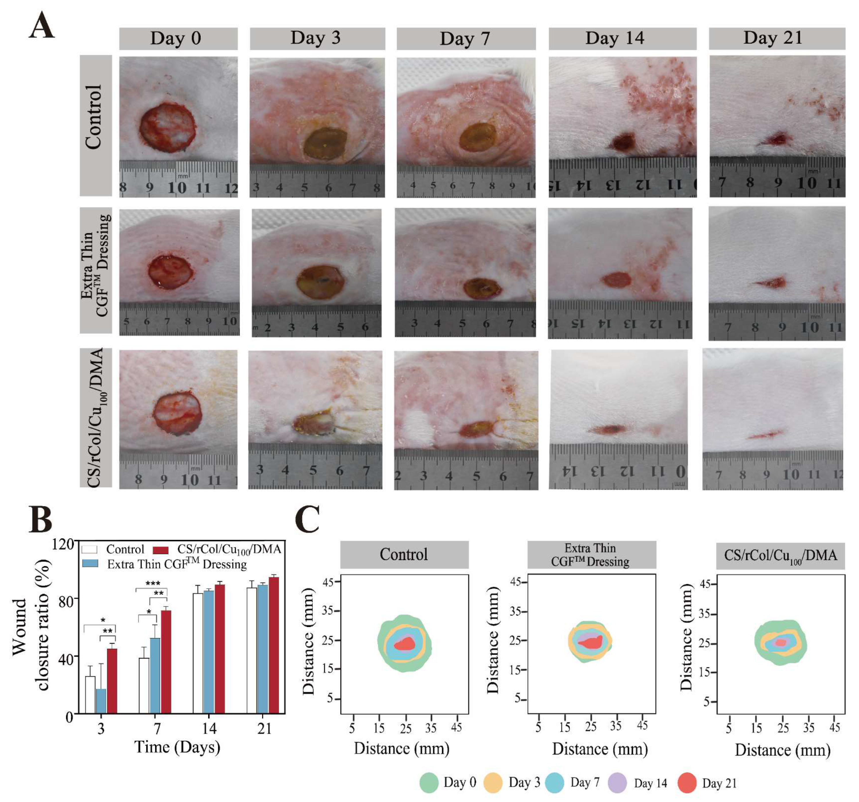 Polymers 15 03919 g009