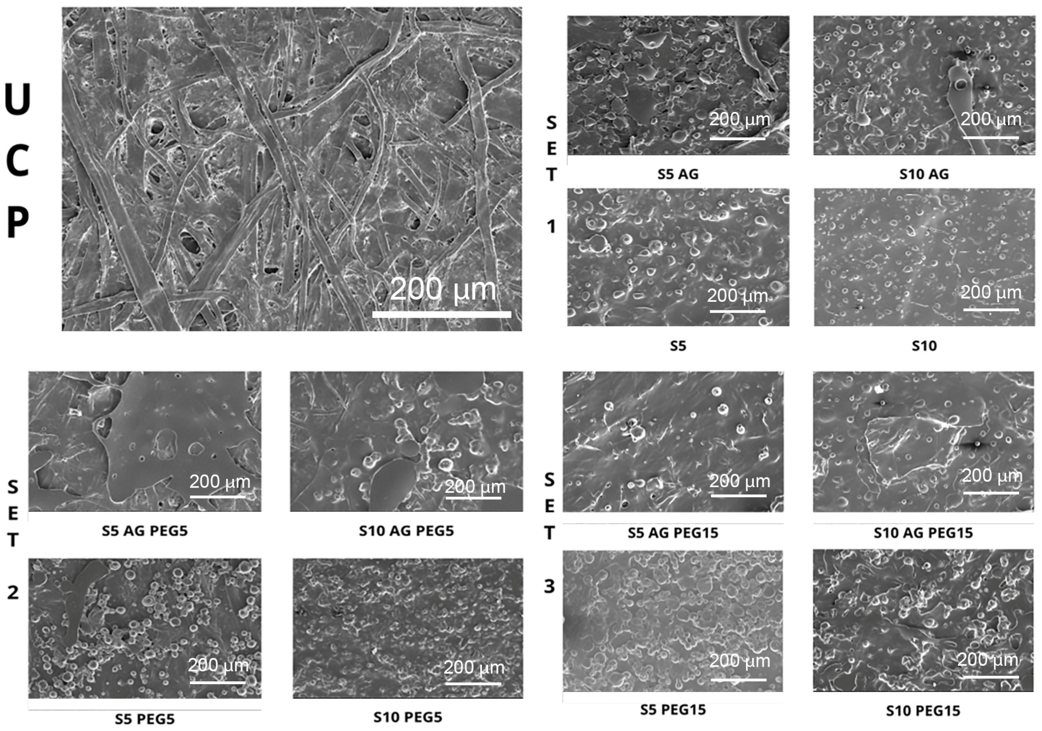 Polymers 15 03921 g002
