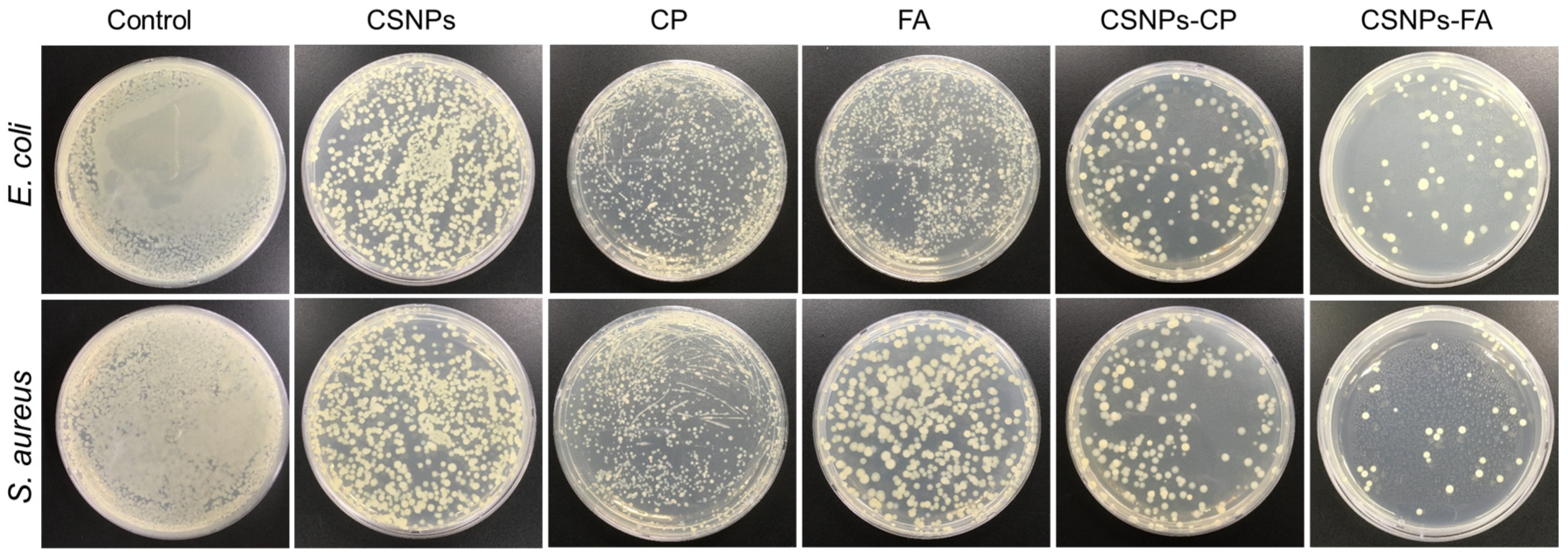 Polymers 15 03925 g006