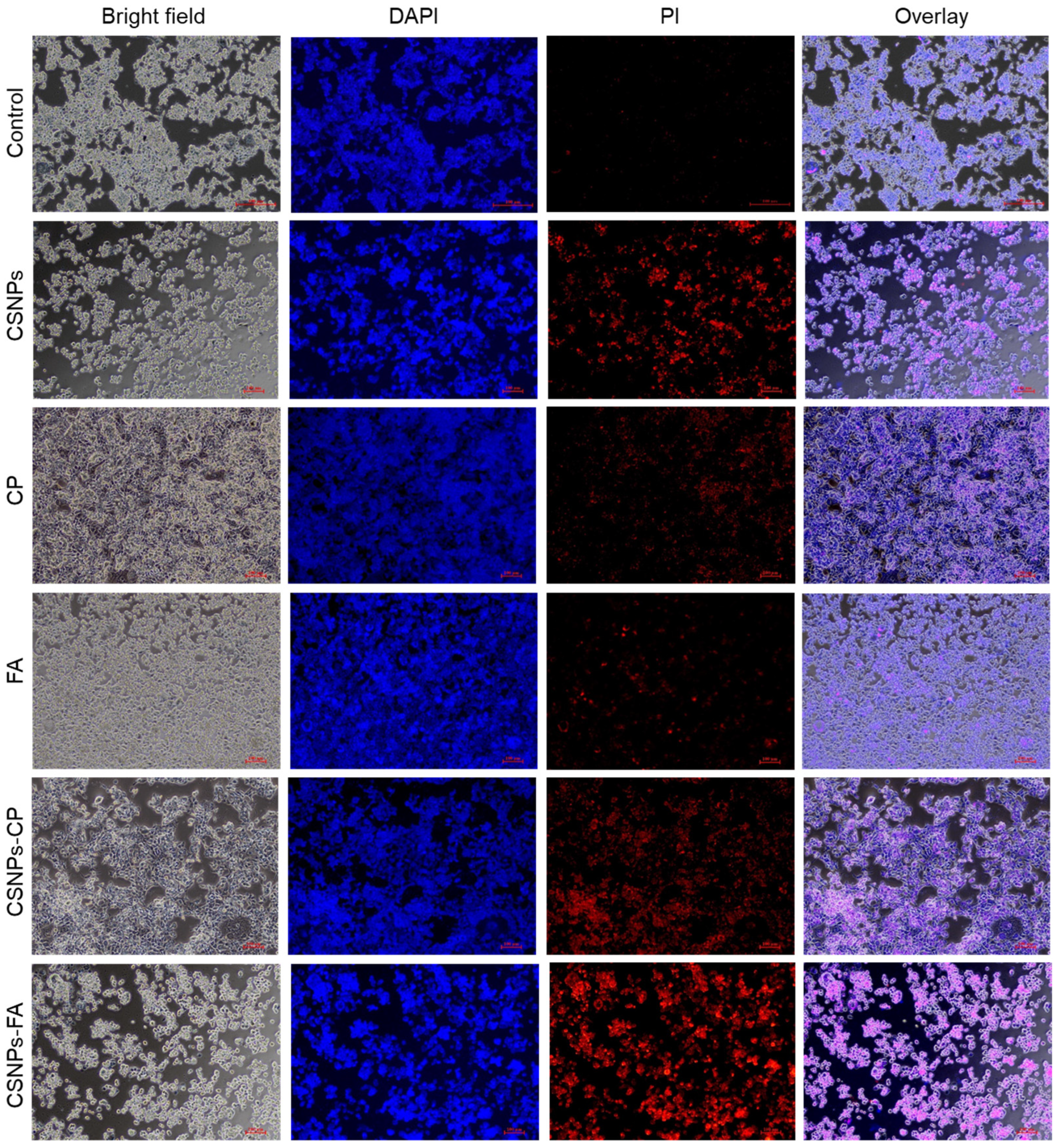 Polymers 15 03925 g008