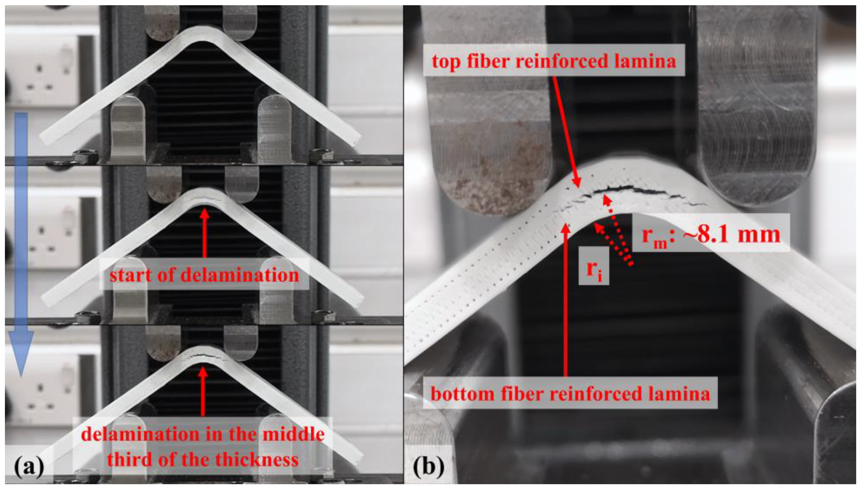 Polymers 15 03928 g011