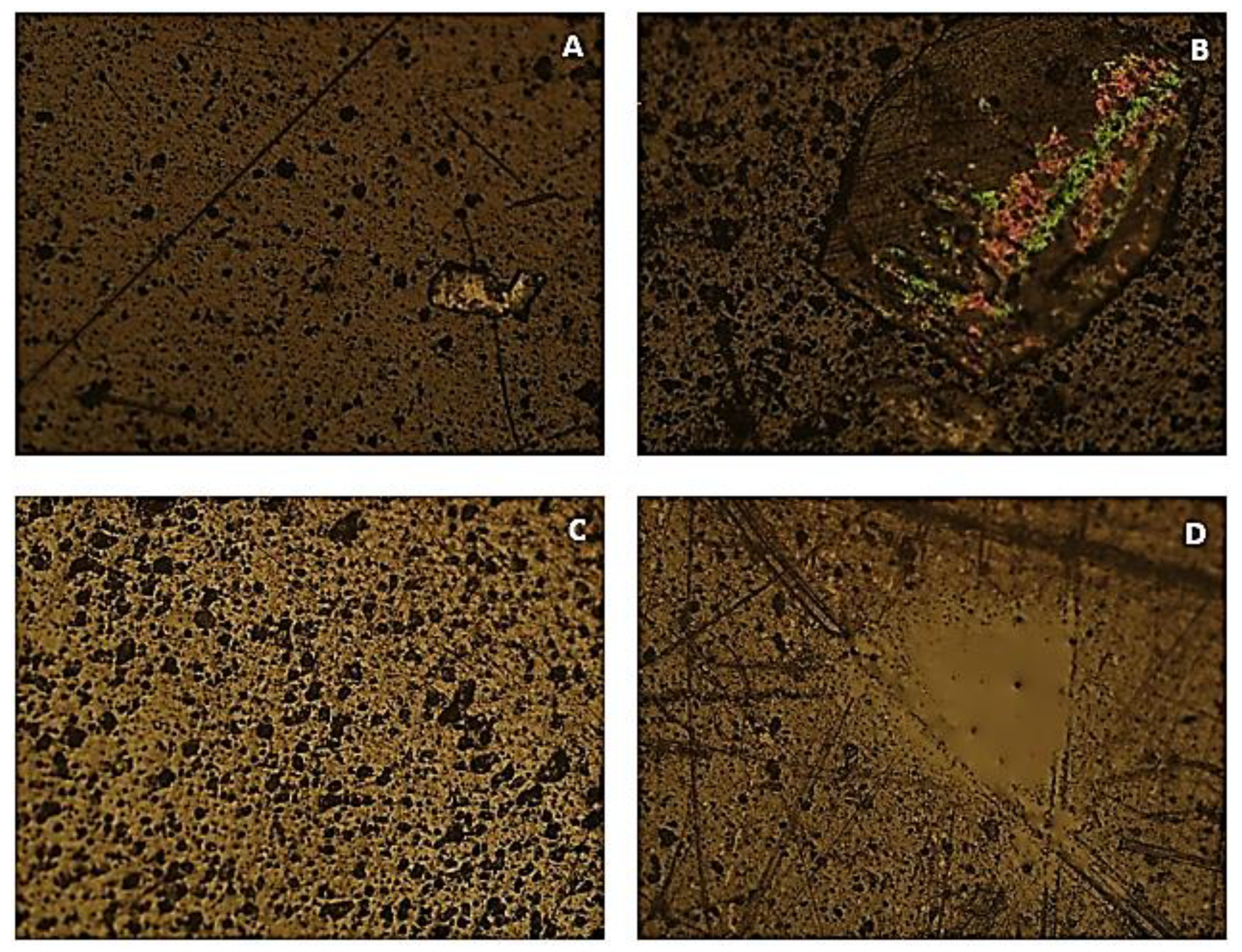 Polymers 15 03931 g005