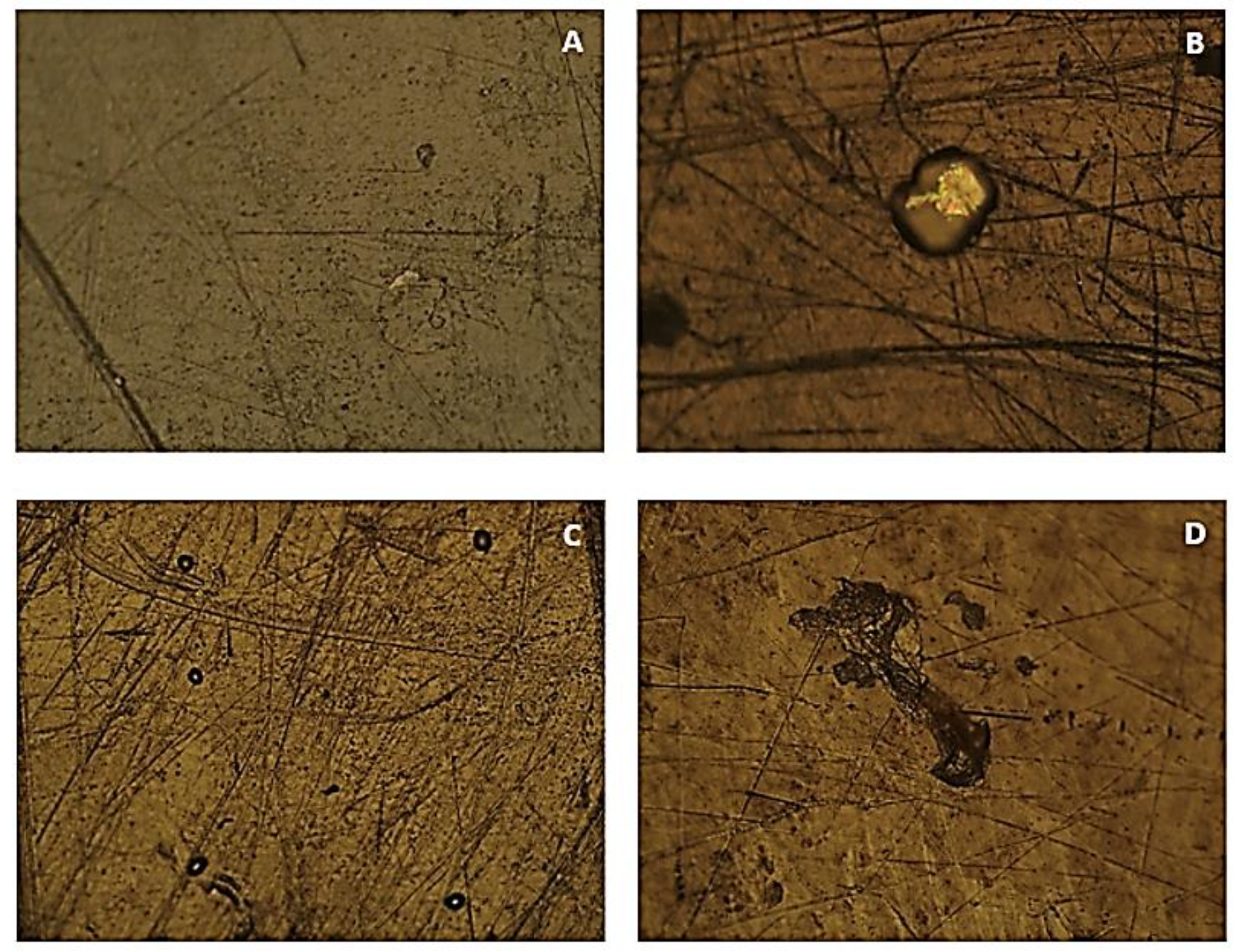 Polymers 15 03931 g006