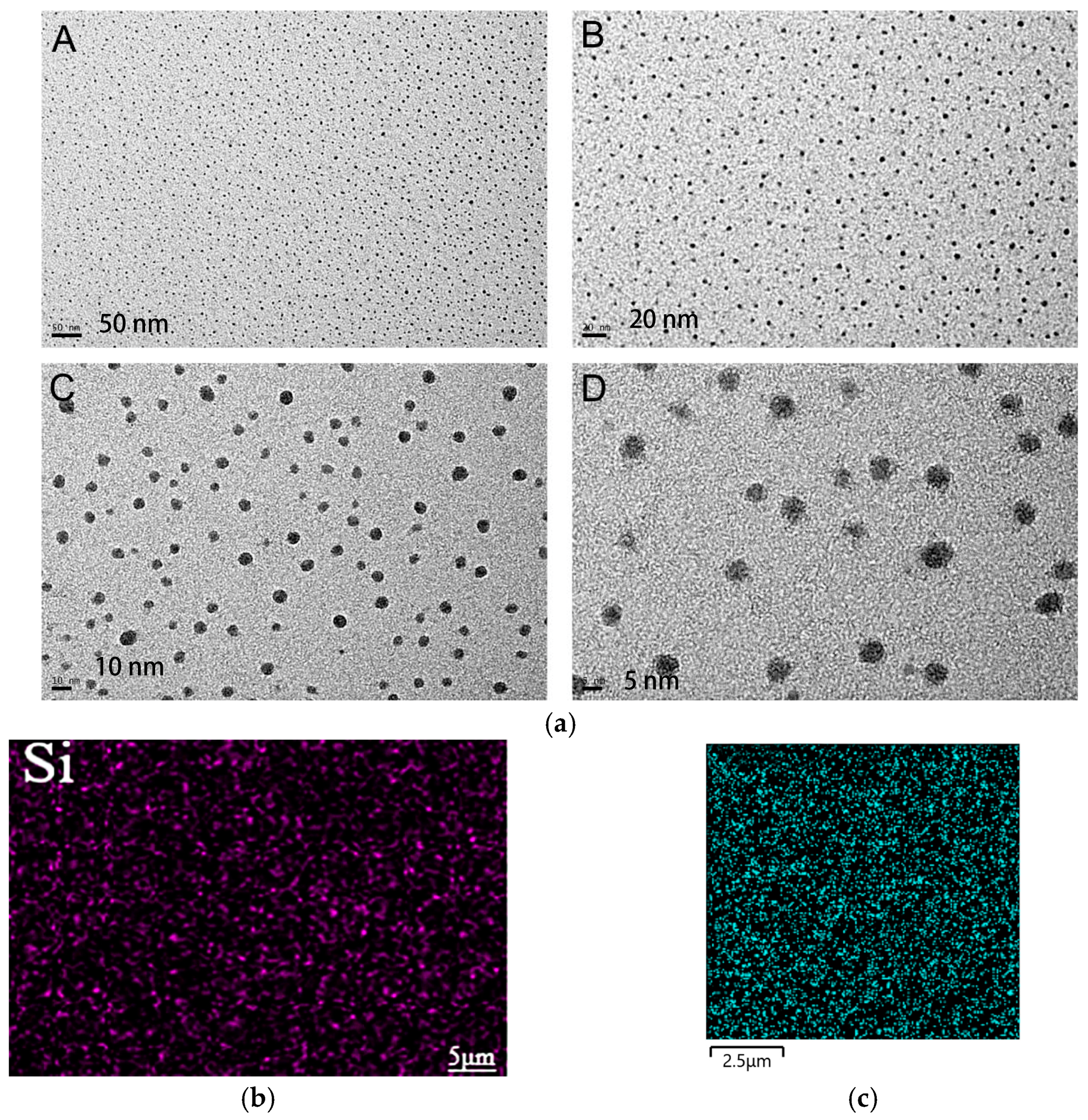 Polymers 15 03933 g009