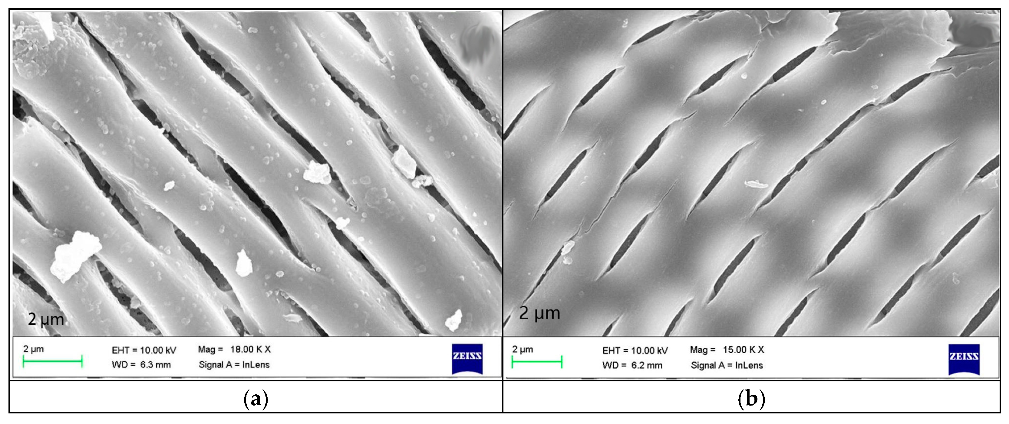 Polymers 15 03933 g010