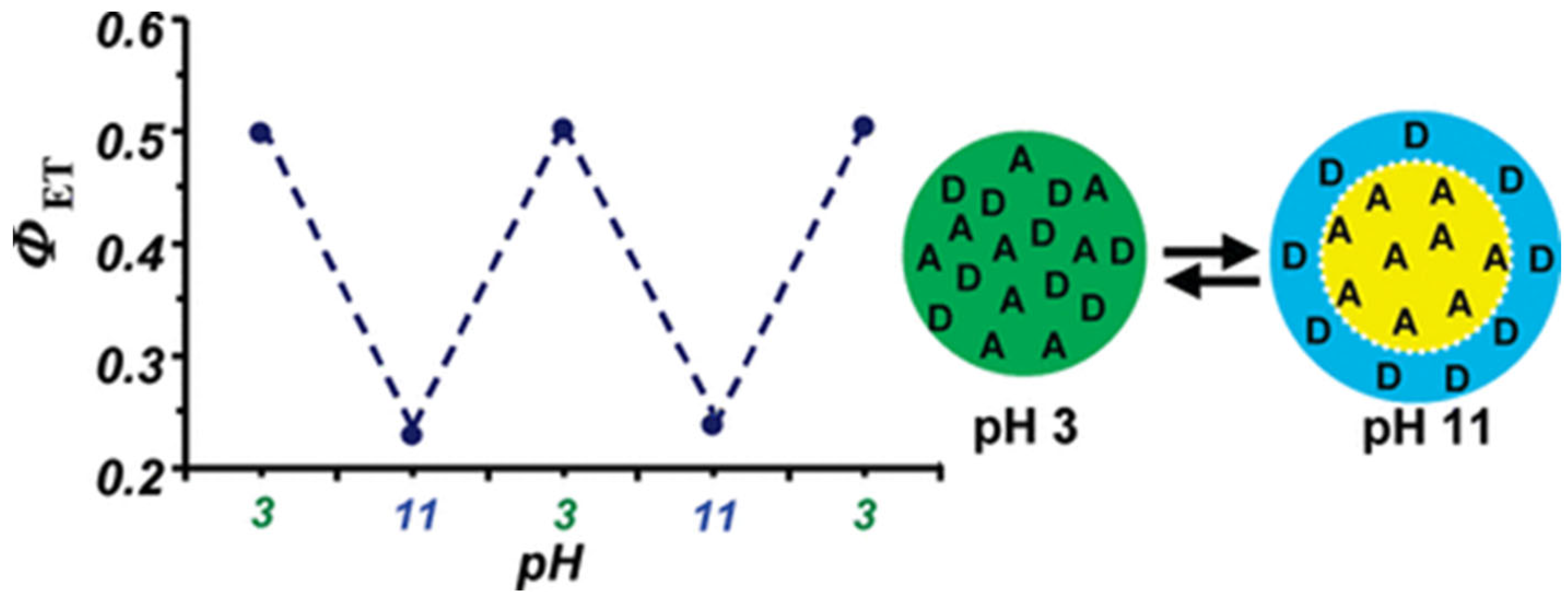 Polymers 15 03935 g005